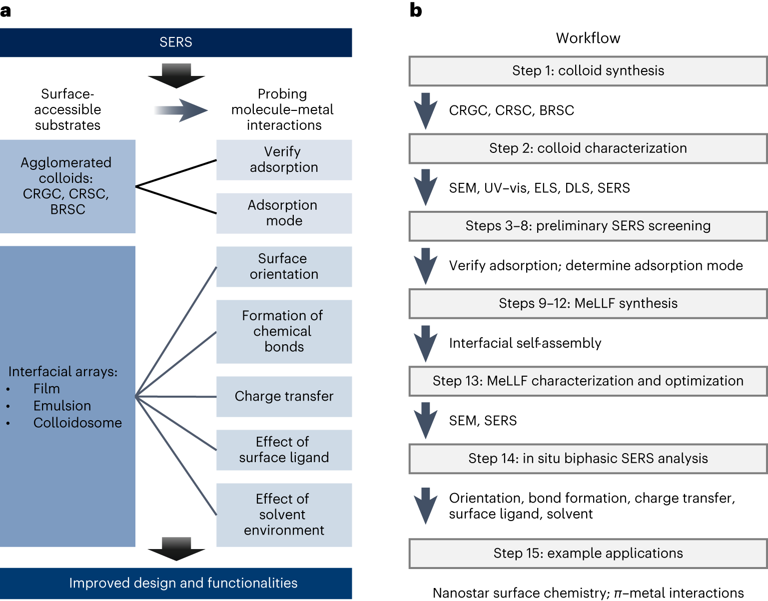 Fig. 2: Overview of the technique for applying SERS in surface chemistry analysis.