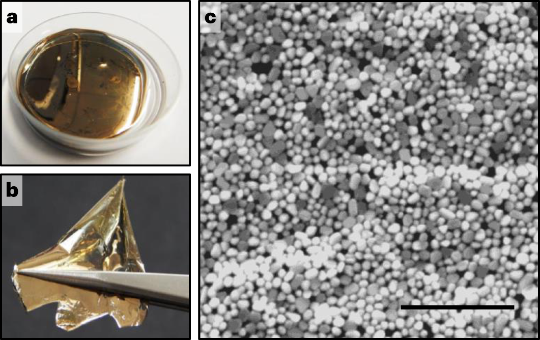 Fig. 5: A representative sample of a nanoparticle–polymer film formed from a CRGC MeLLF.