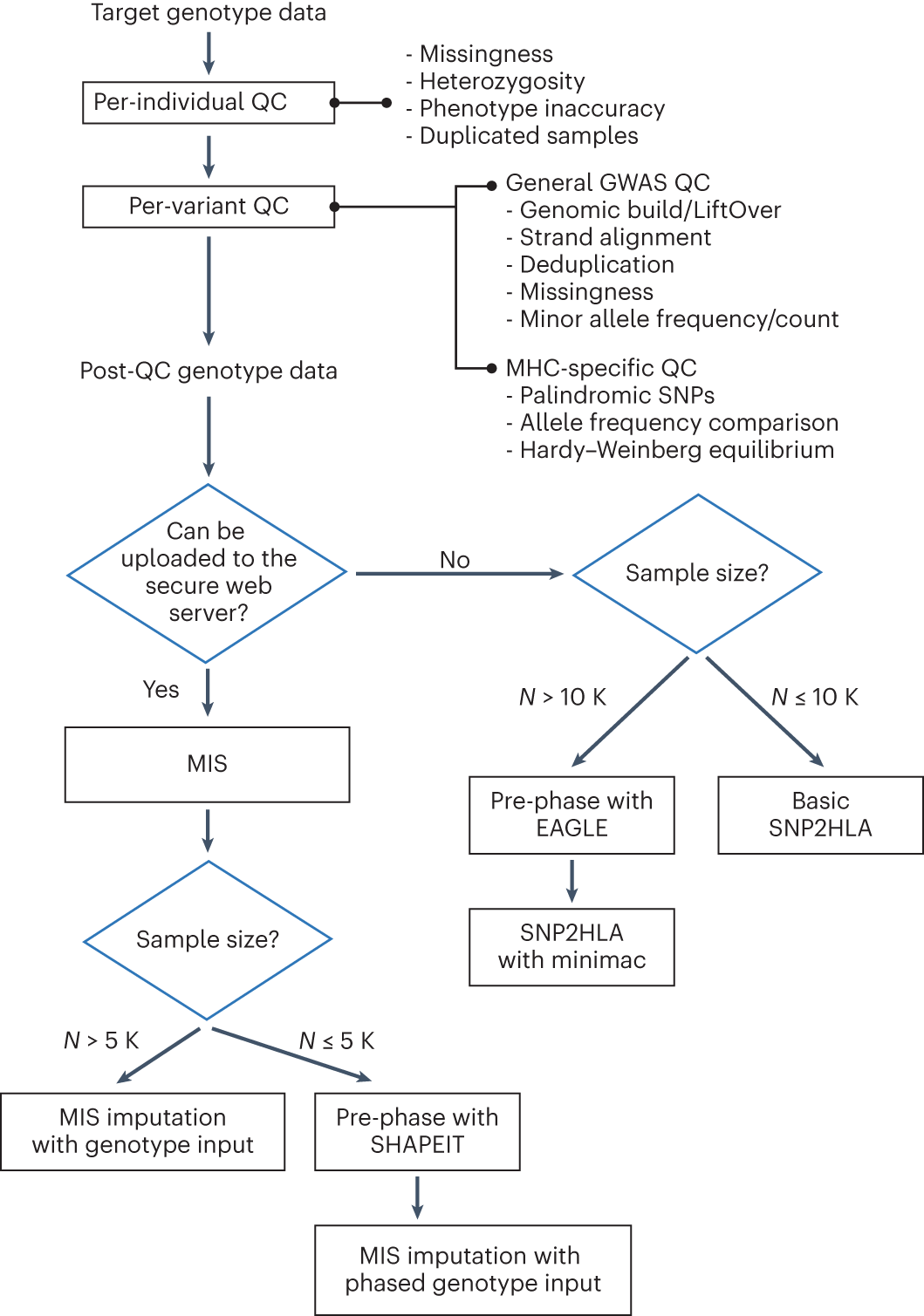 Fig. 4: A flow chart of suggested analytical steps for genotype QC and HLA imputation.
