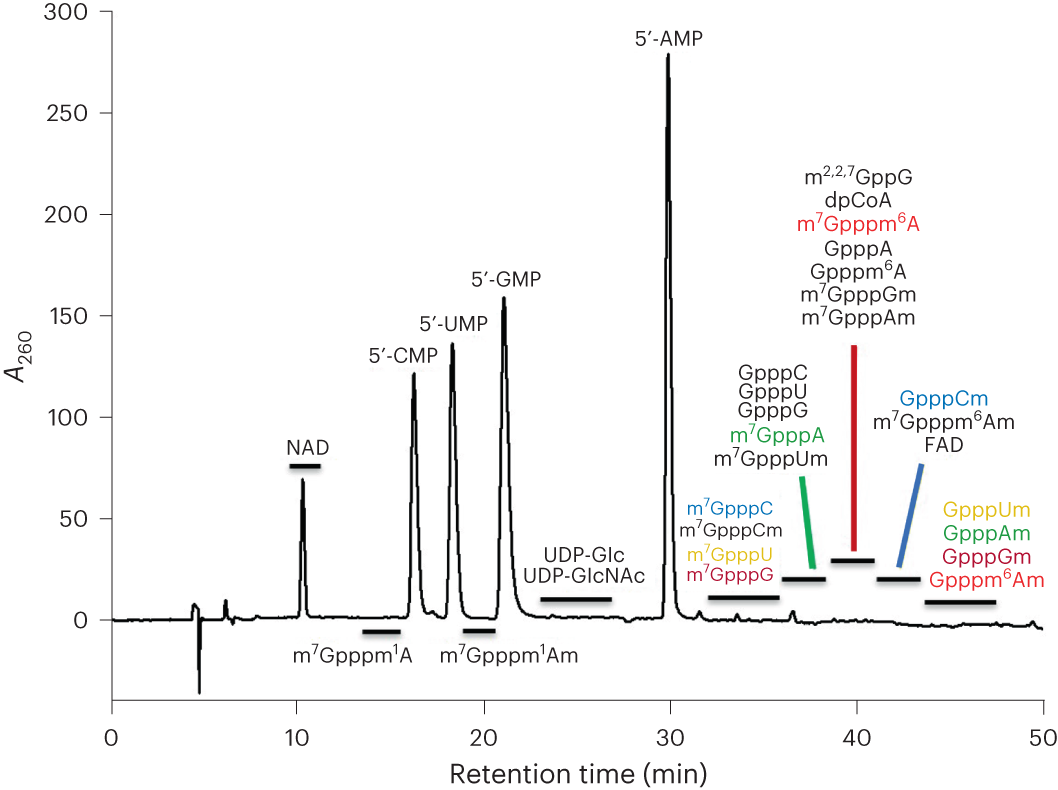 Fig. 3: Off-line HPLC chromatogram of an enzymatic digestion mixture of RNA.