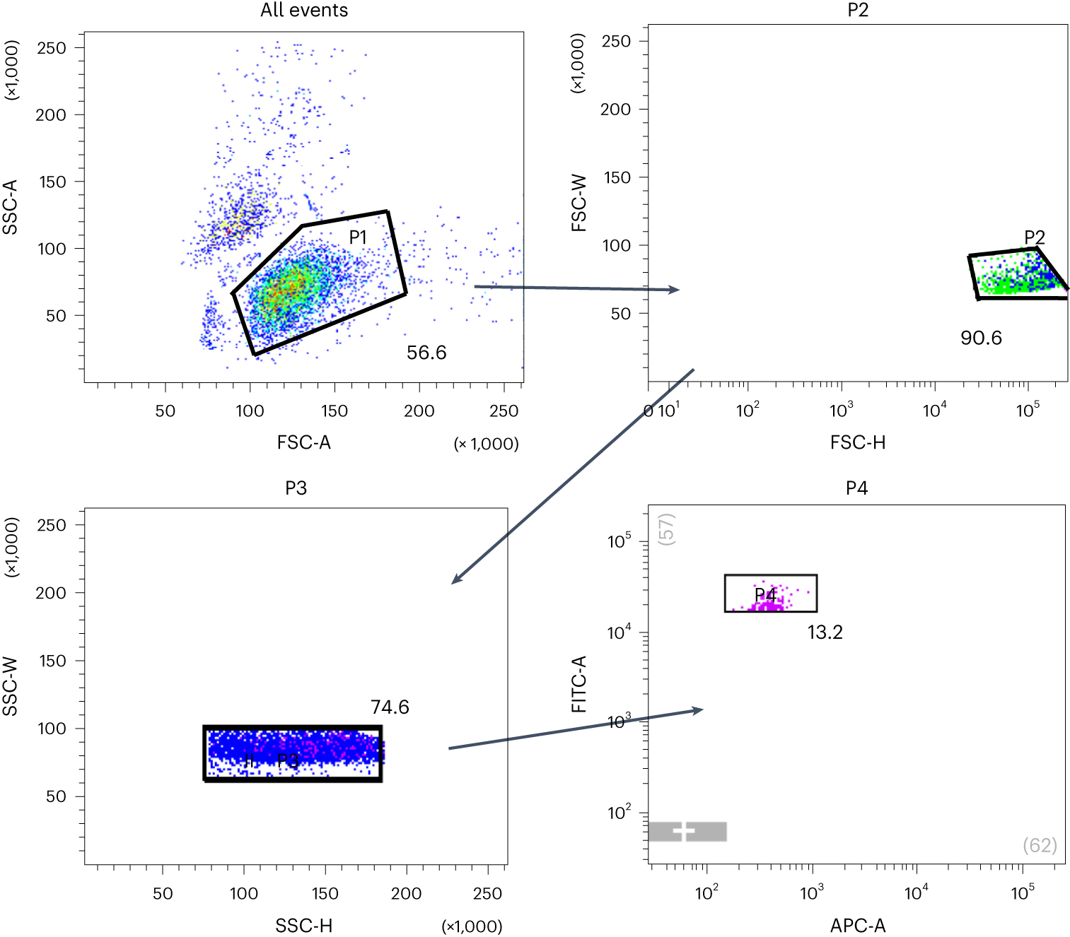 Fig. 3: The FACS gating strategy for miN cell purification.