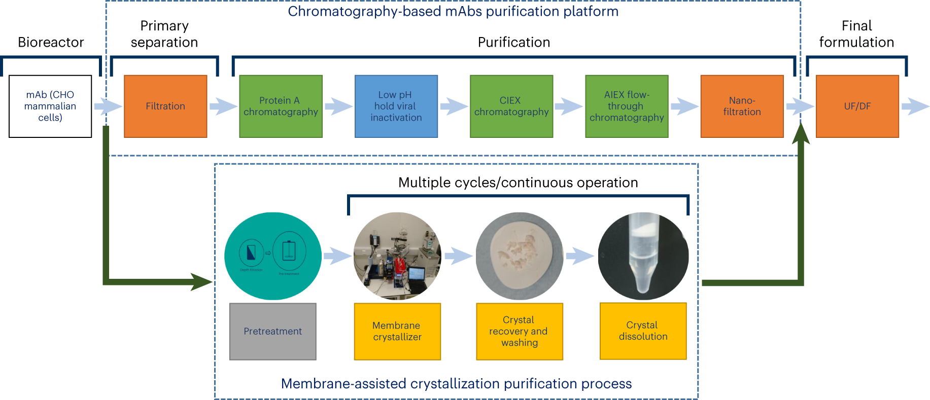 Fig. 2: TMC versus conventional chromatography-based DSP purification of mAbs.