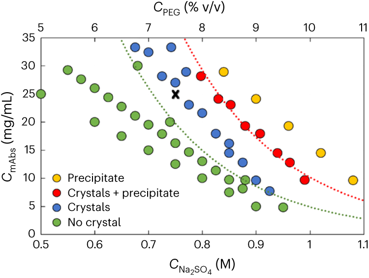 Fig. 5: Phase diagram of anti-CD20 in 1% (vol/vol) PEG 400 and 0.1 M Na2SO4 solutions as crystallization agent, at pH 7.4 and 20 °C after 48 h under stirring conditions without templates.