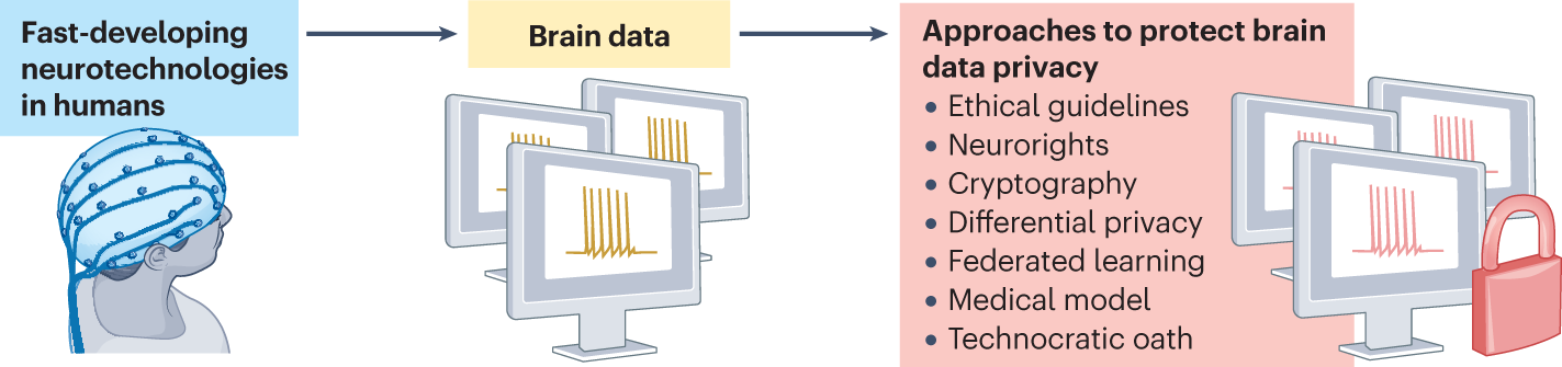 Fig. 1: Potential approaches to protect brain data privacy.