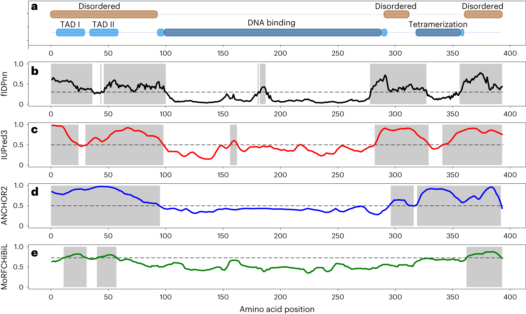 Fig. 2: Computational analysis of human cellular tumor antigen p53 (UniProt158 ID: P04637) using disorder and disorder function predictors.