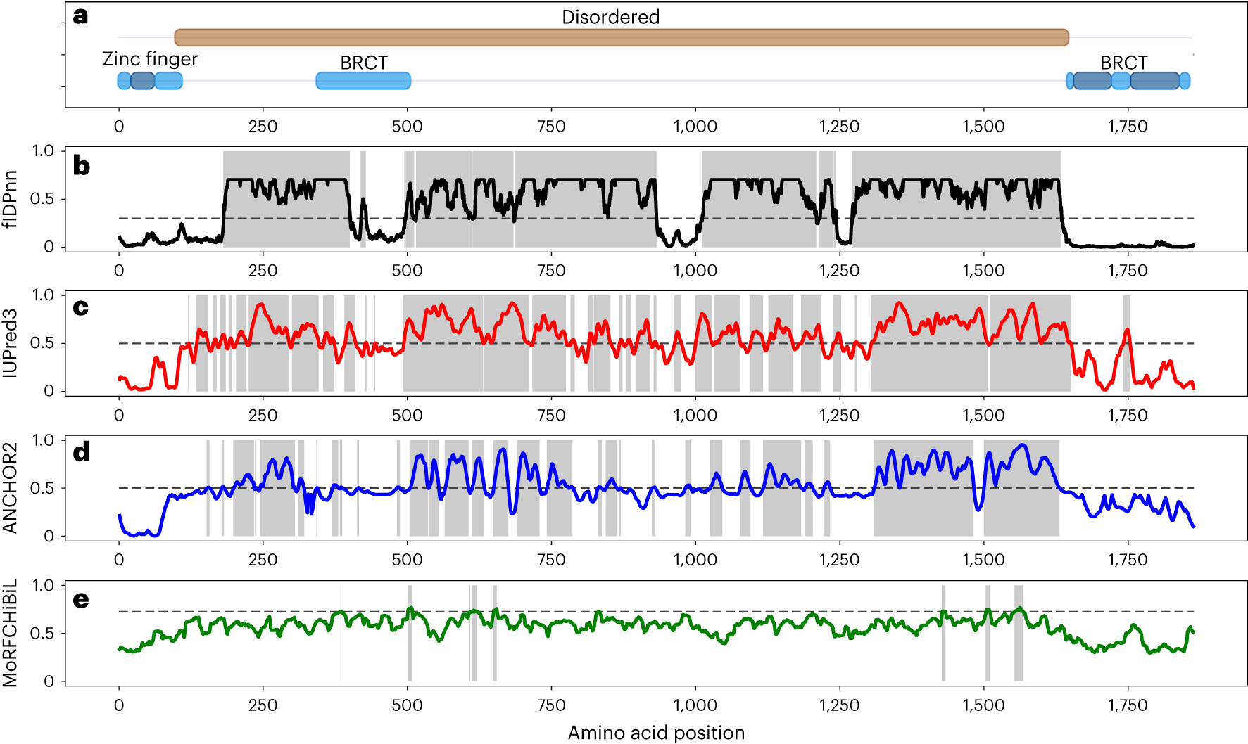 Fig. 3: Computational analysis of human BRCA1 (UniProt158 ID: P38398) using disorder and disorder function predictors.