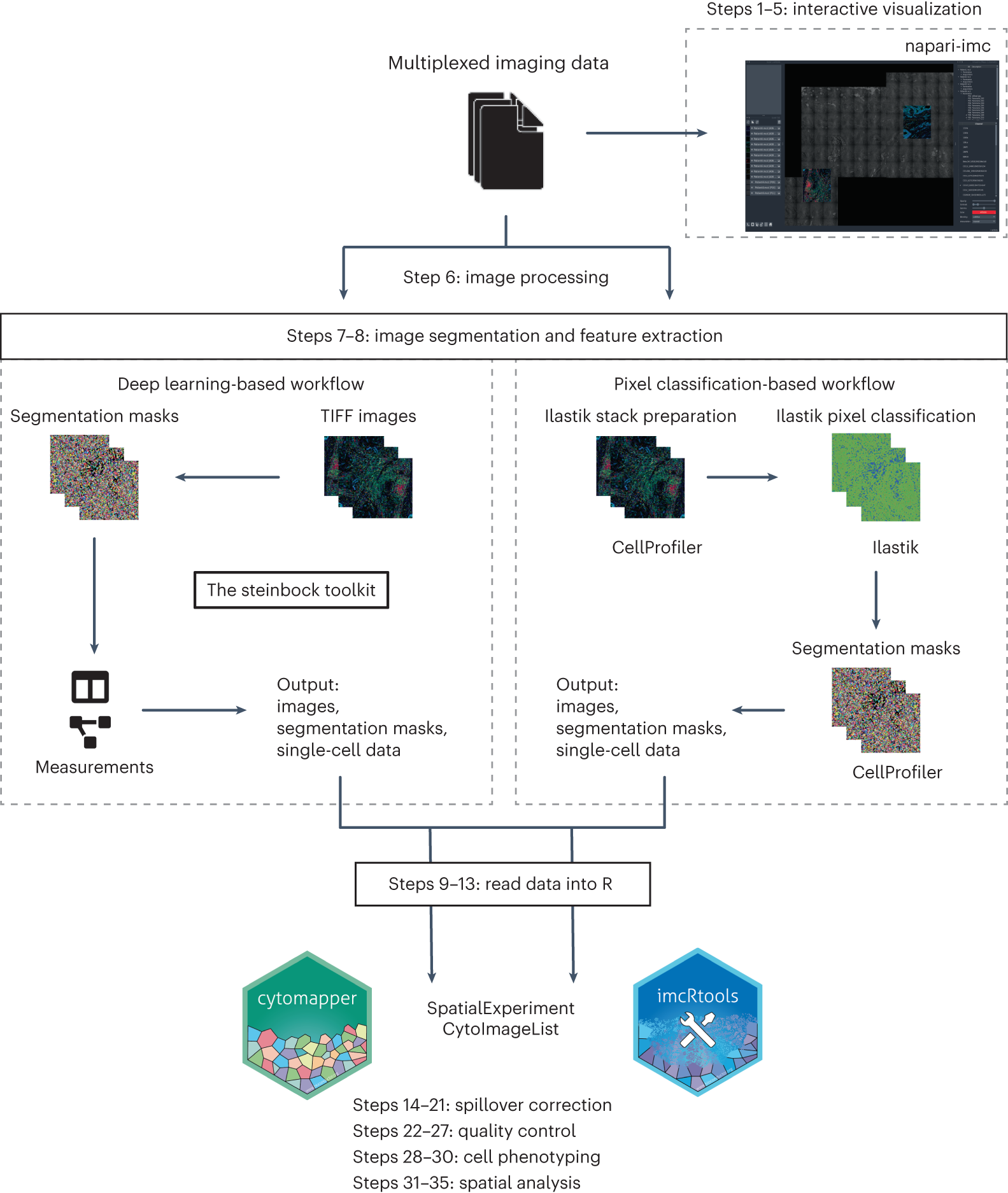 Fig. 1: Overview of the multiplexed tissue image analysis workflow.