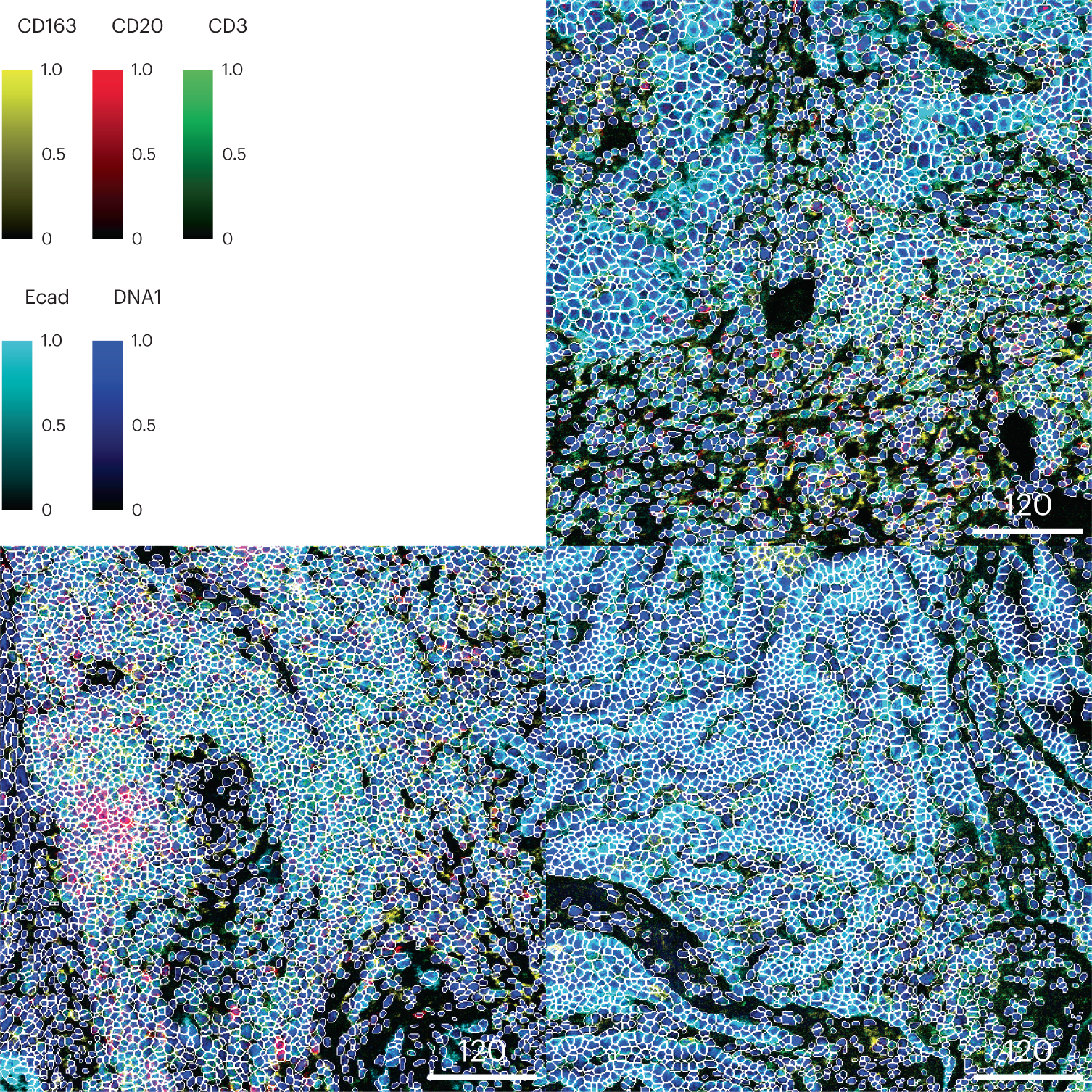 Fig. 7: Visual assessment of segmentation quality.