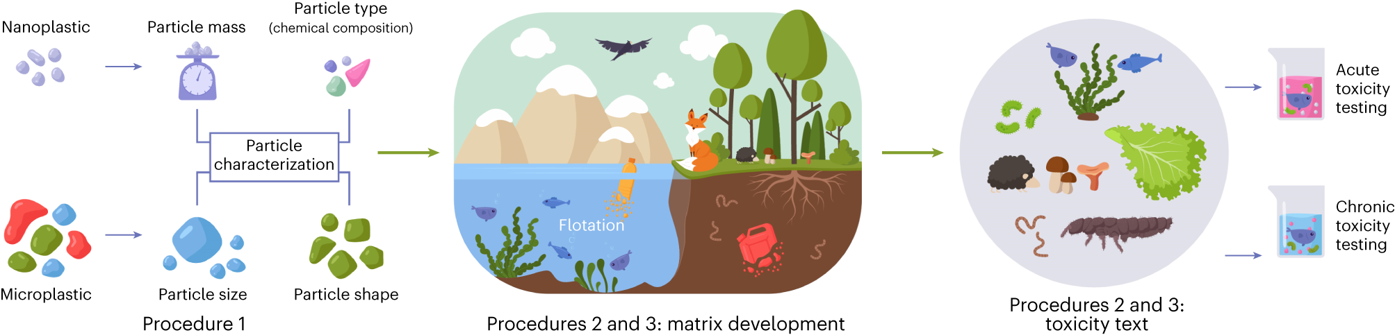 Fig. 1: An overview of the procedures.