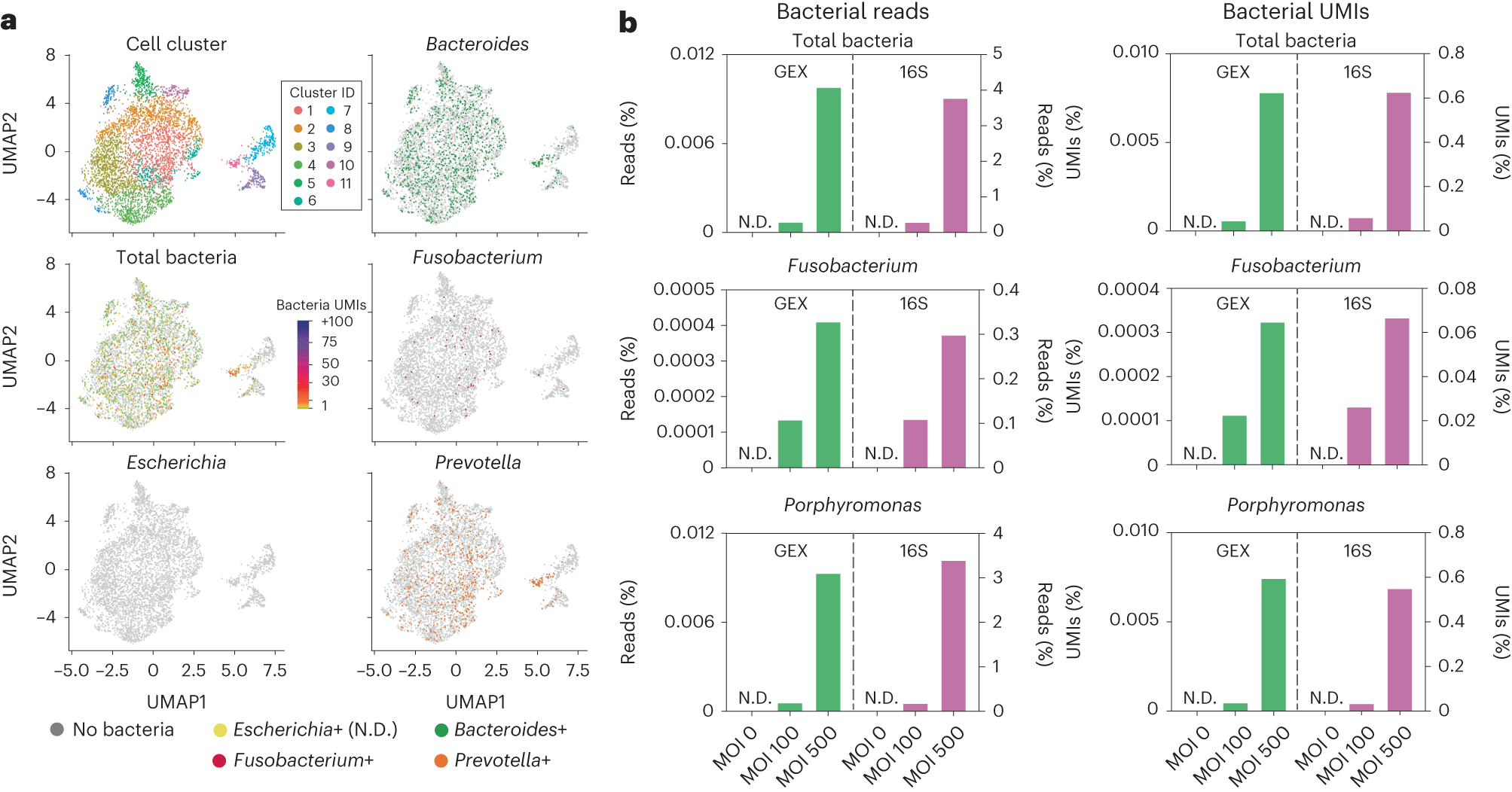 Fig. 2: INVADEseq specificity and bacterial 16S rRNA gene enrichment libraries following cDNA amplification using a nested bacterial 16S primer.