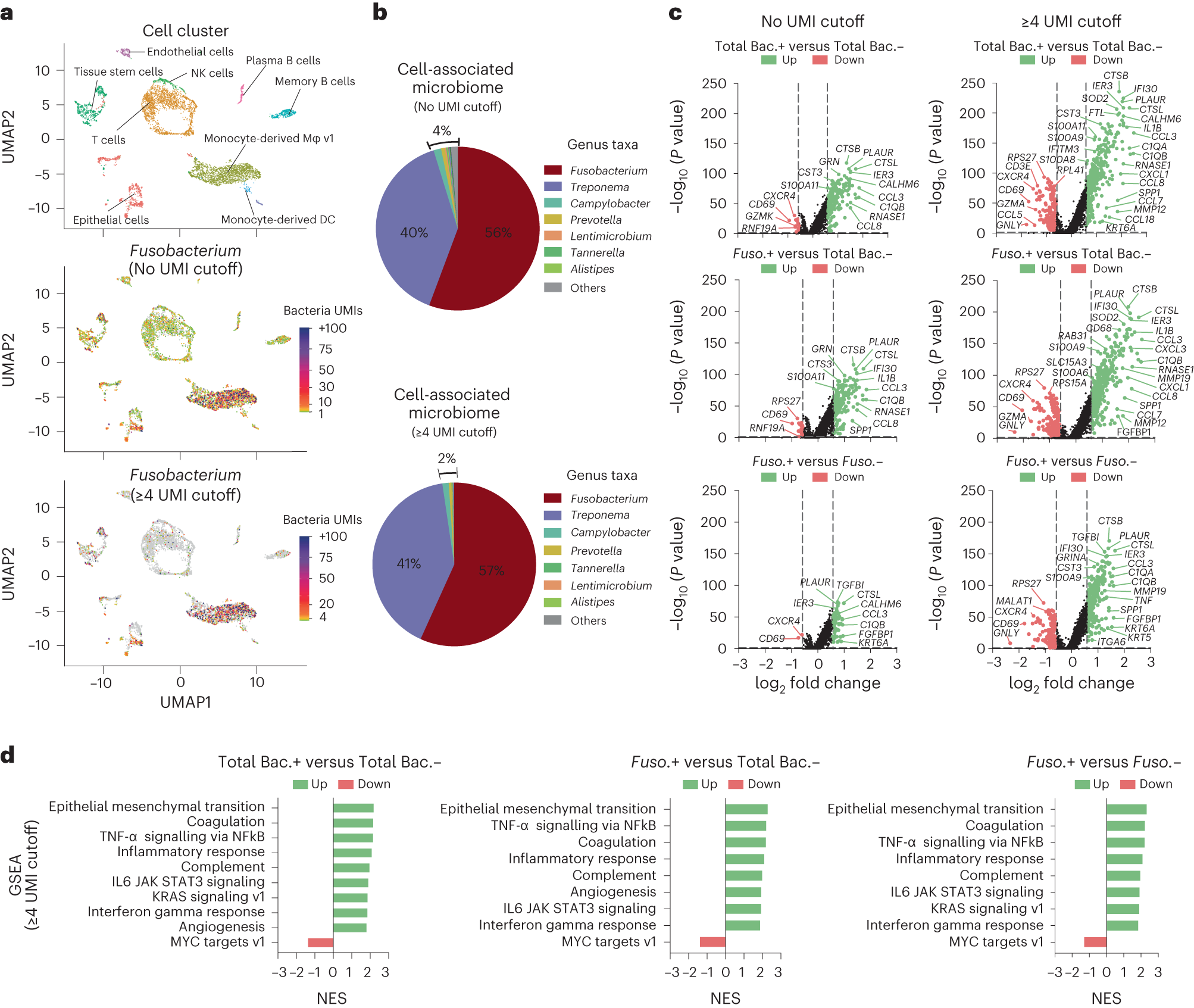 Fig. 3: Single-cell RNAseq analysis of a OSCC tumor sample using the INVADEseq method.