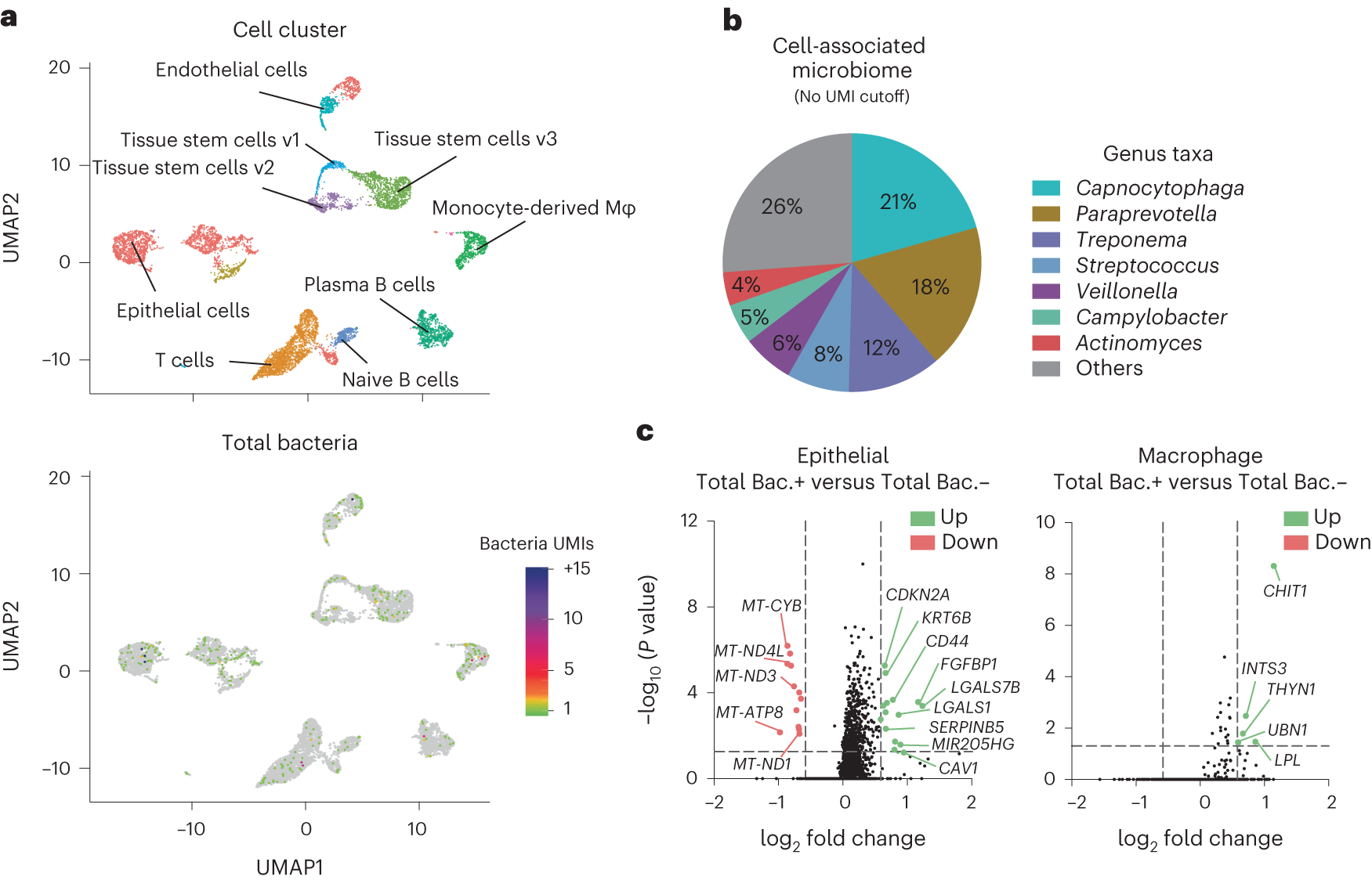 Fig. 5: Single-cell RNAseq analysis in specific cell clusters from two OSCC tumor samples containing low bacteria load (Low_Bac) following data integration.