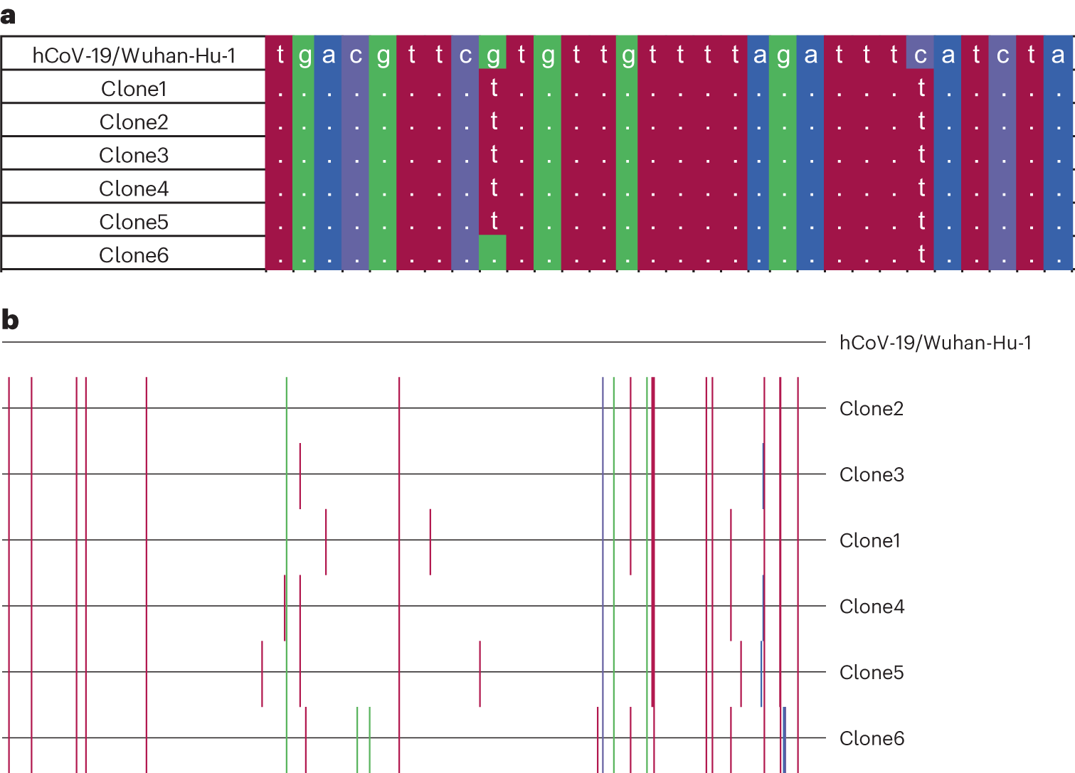 Fig. 8: Multiple sequence alignment and clone selection.