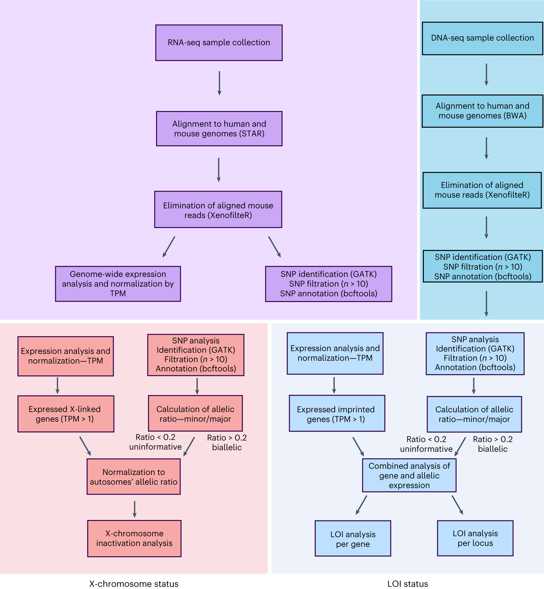 Fig. 3: Workflow.
