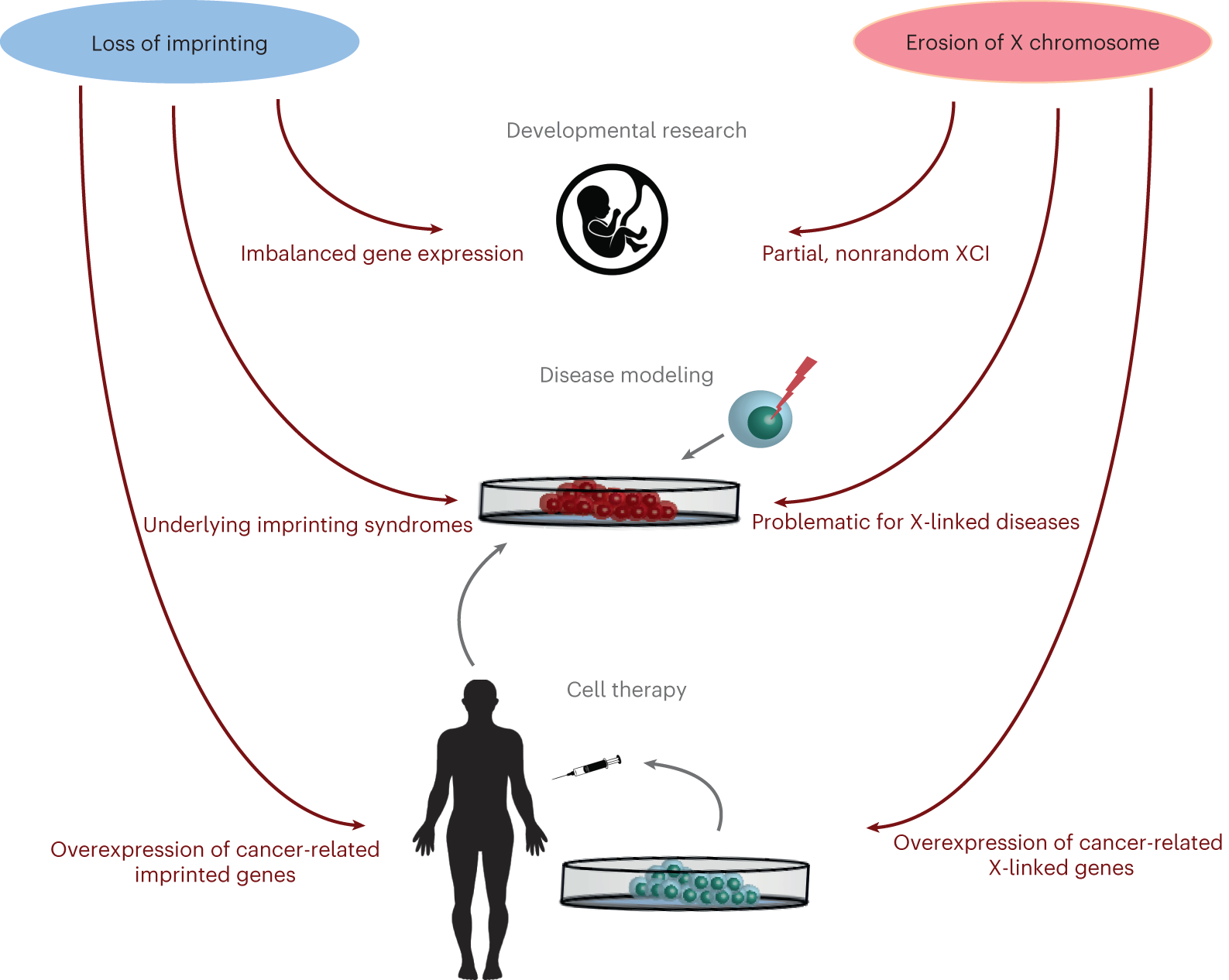 Fig. 5: Implications of epigenetic aberrations.