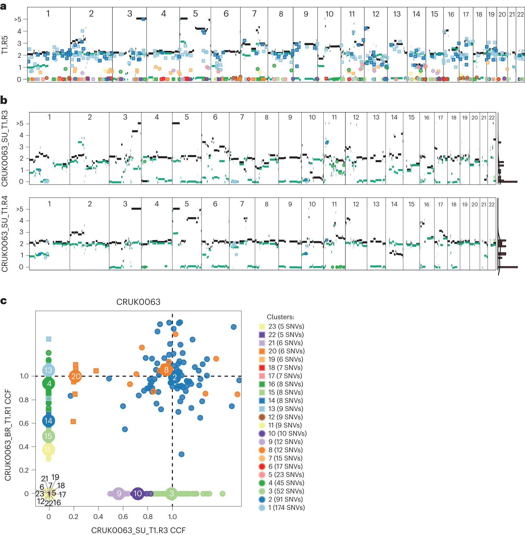 Fig. 5: Example panels from CONIPHER clustering stage output.