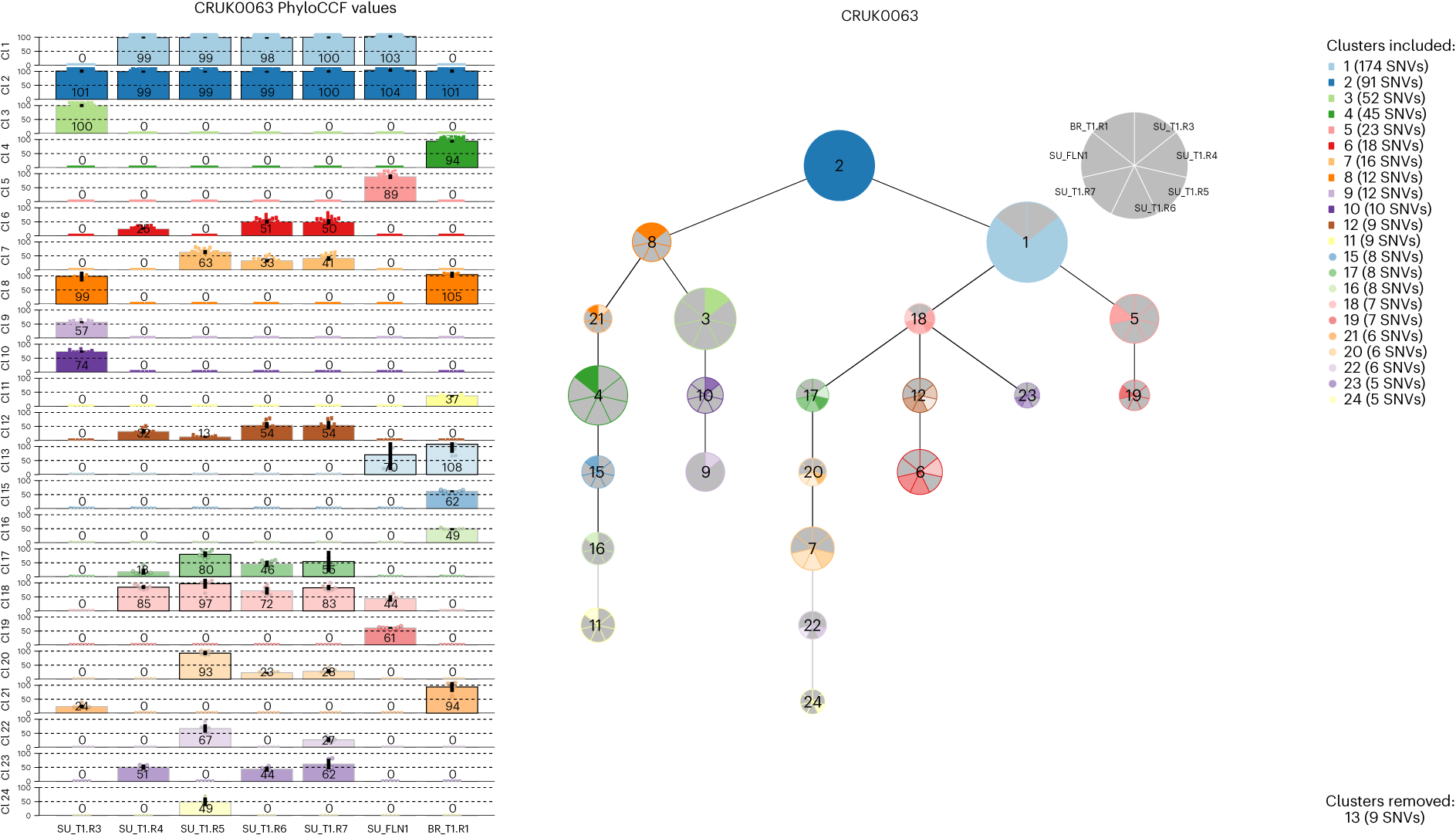Fig. 6: Example pytree_and_bar.pdf for case CRUK0063.