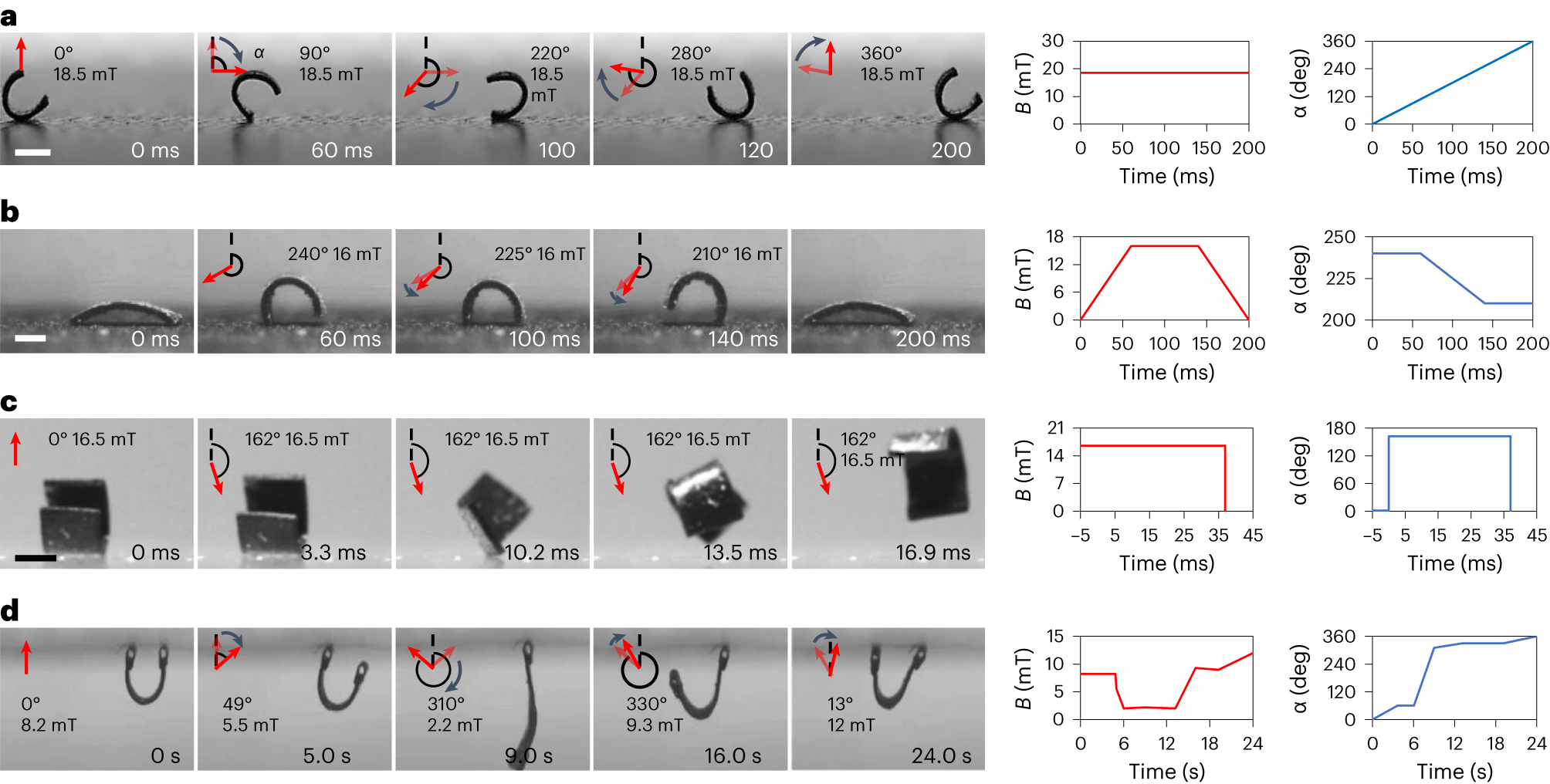Fig. 12: Realization of different locomotion modes of the sheet-shaped robot on solid surfaces.
