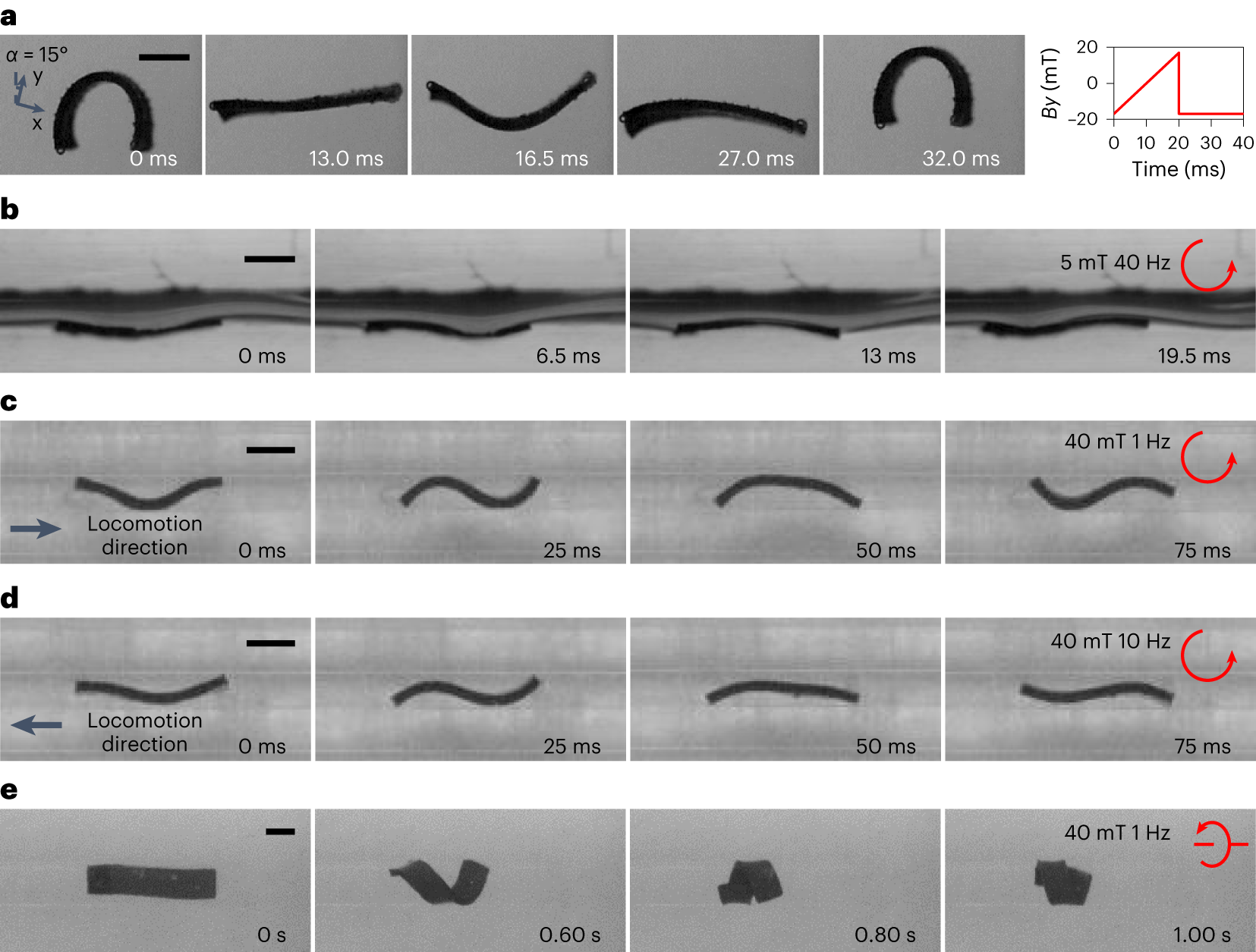 Fig. 13: Realization of locomotion modes of the sheet-shaped robot on water–air interfaces, within water, and in tubular structures with internal liquid flows.