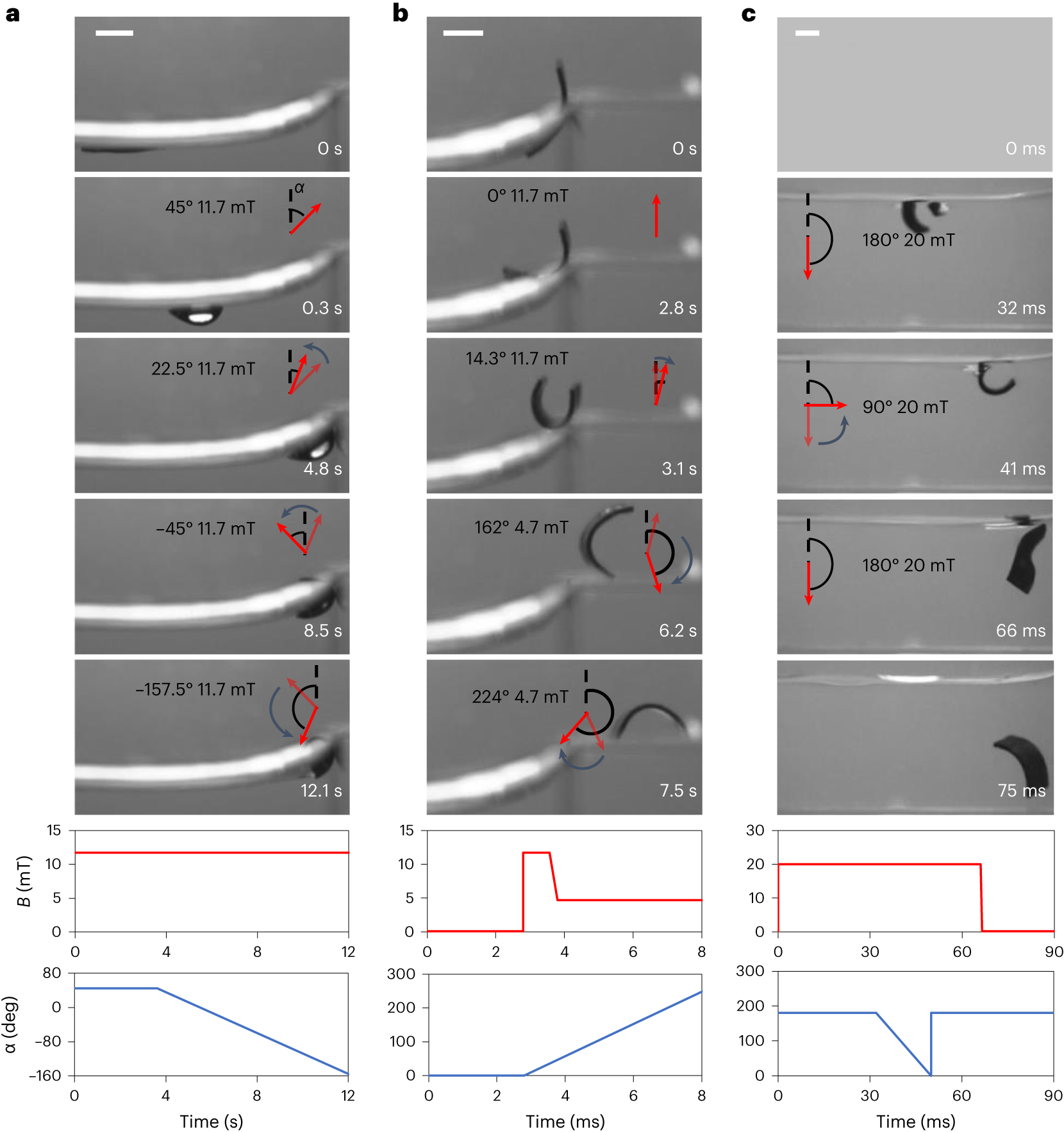 Fig. 14: Realization of transition modes of the sheet-shaped robot.