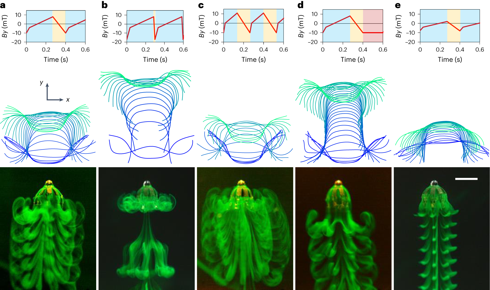 Fig. 15: Realization of five swimming modes of the ephyra jellyfish-inspired robot.