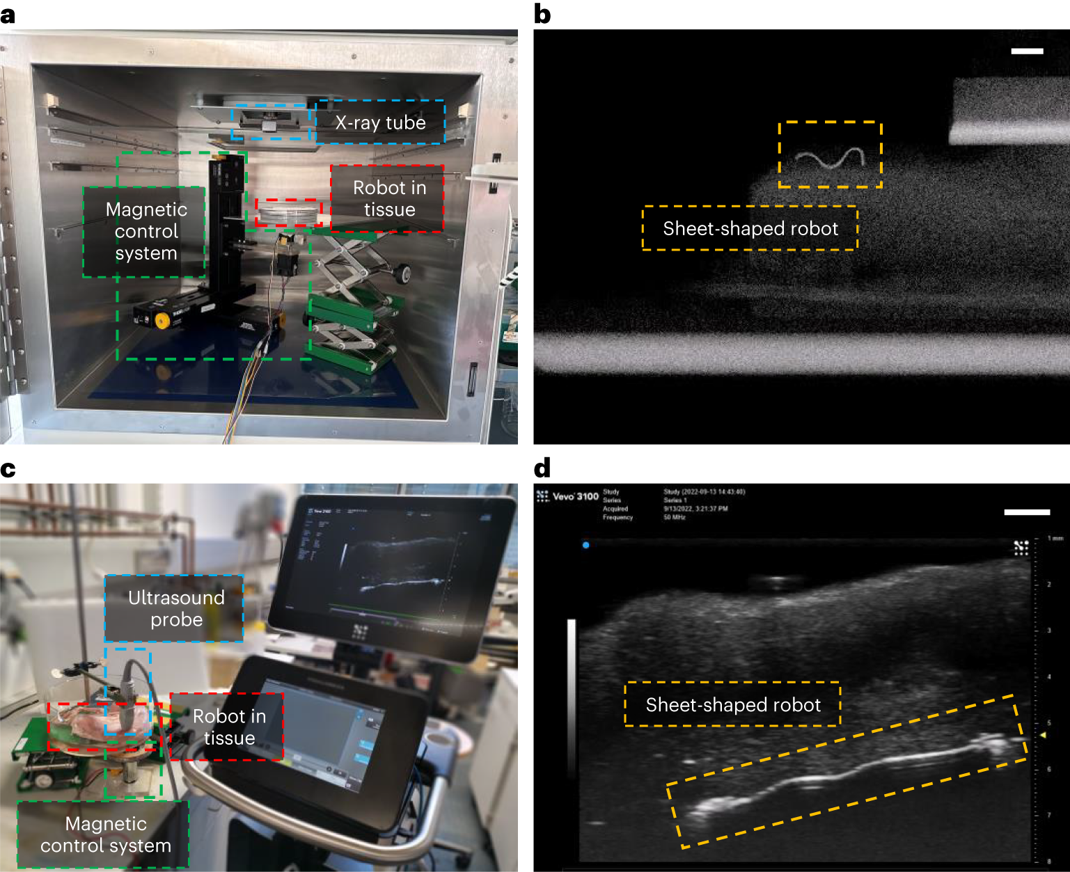 Fig. 17: Medical imaging setup for ex vivo experiments.