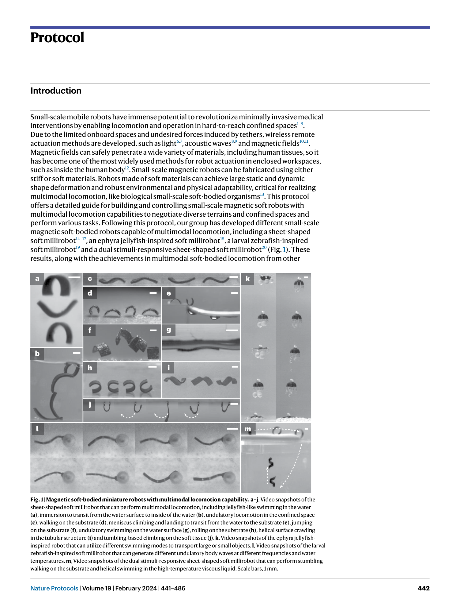 page-2