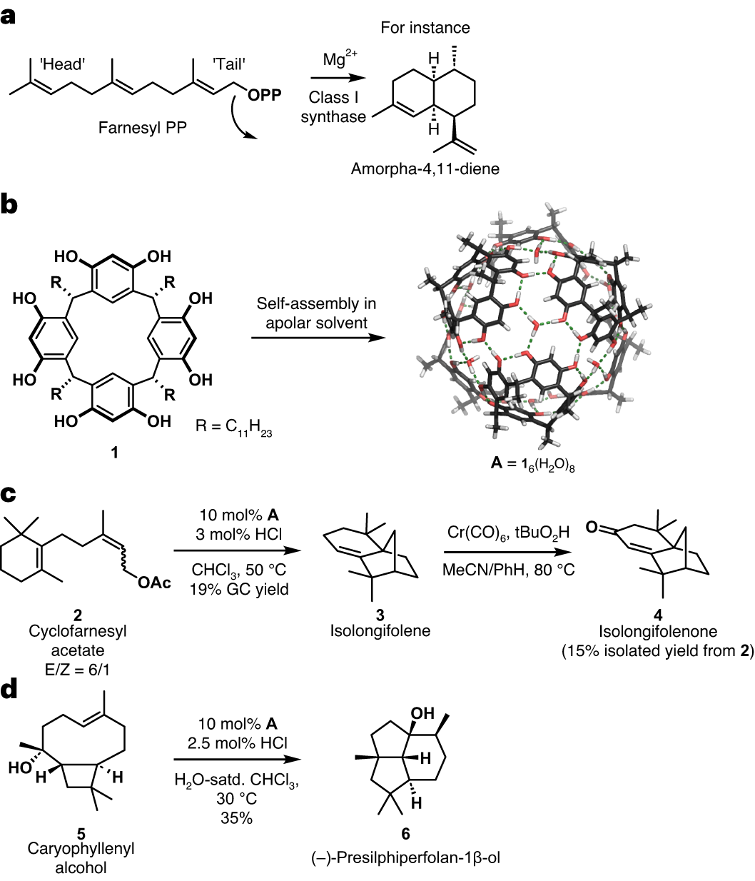 Fig. 1: THT cyclizations.