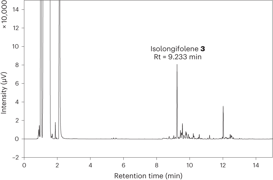 Fig. 4: Chromatogram of isolongifolene synthesis.