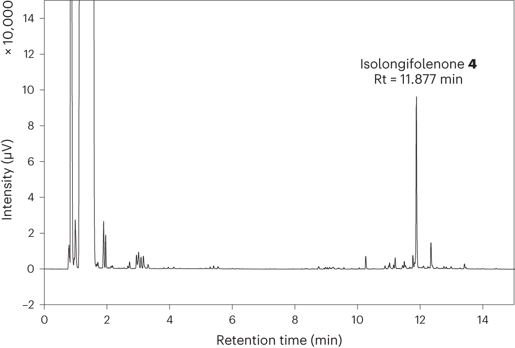 Fig. 5: Chromatogram of isolongifolene oxidation to isolongifolenone.