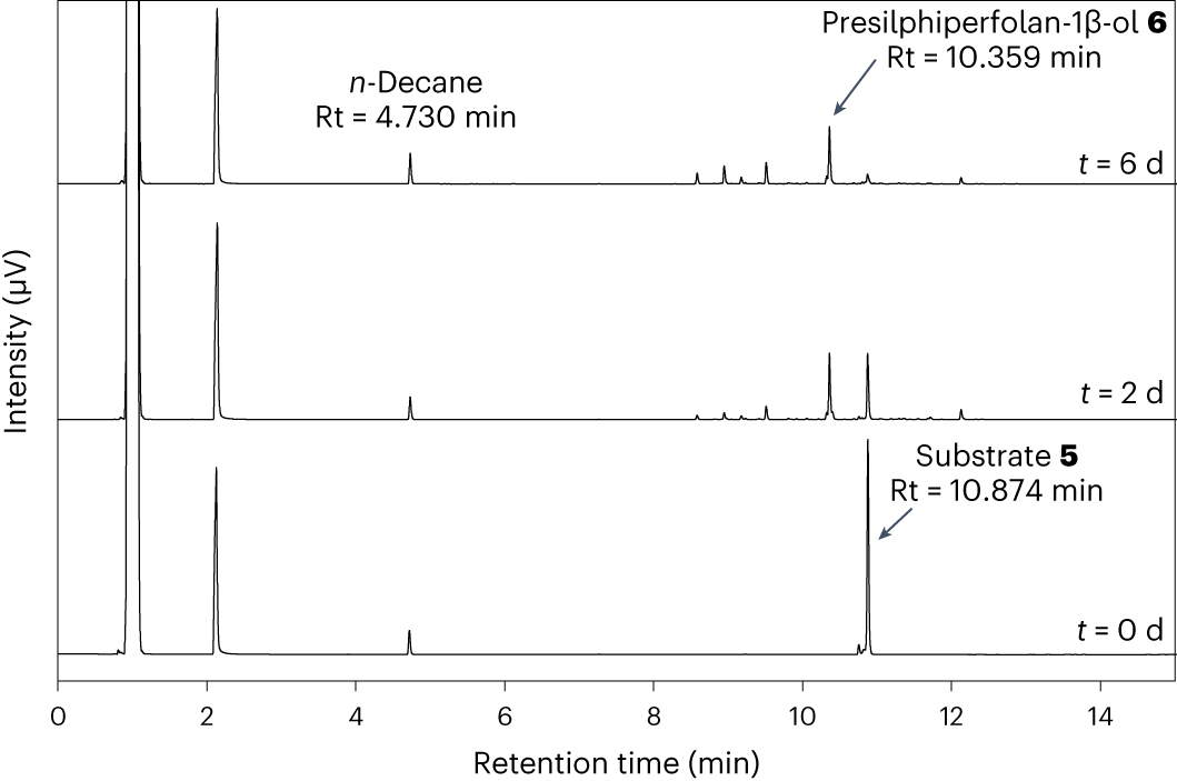 Fig. 6: Chromatograms of presilphiperfolan-1β-ol synthesis.