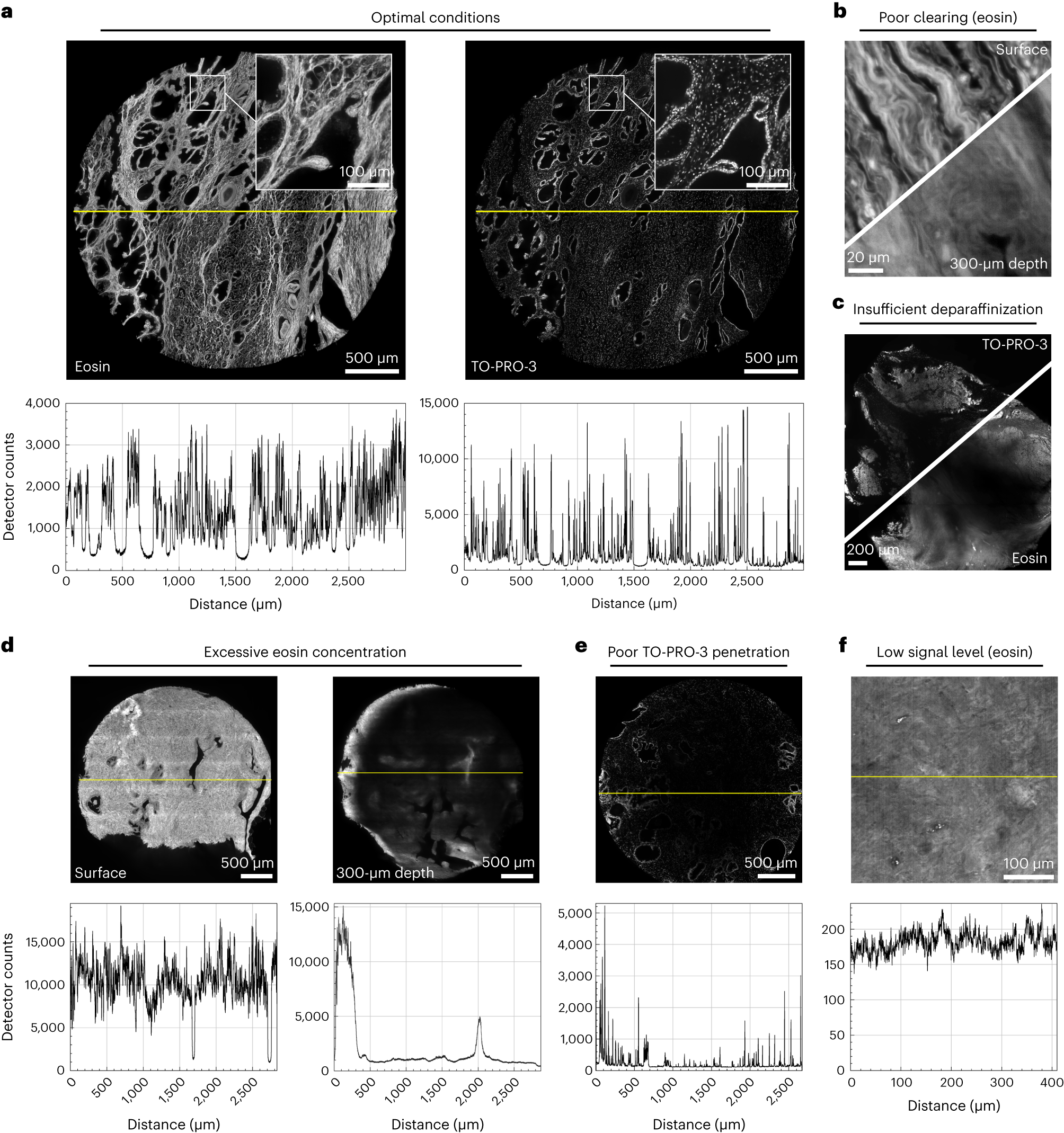 Fig. 5: Examples of high- and low-quality tissue datasets.
