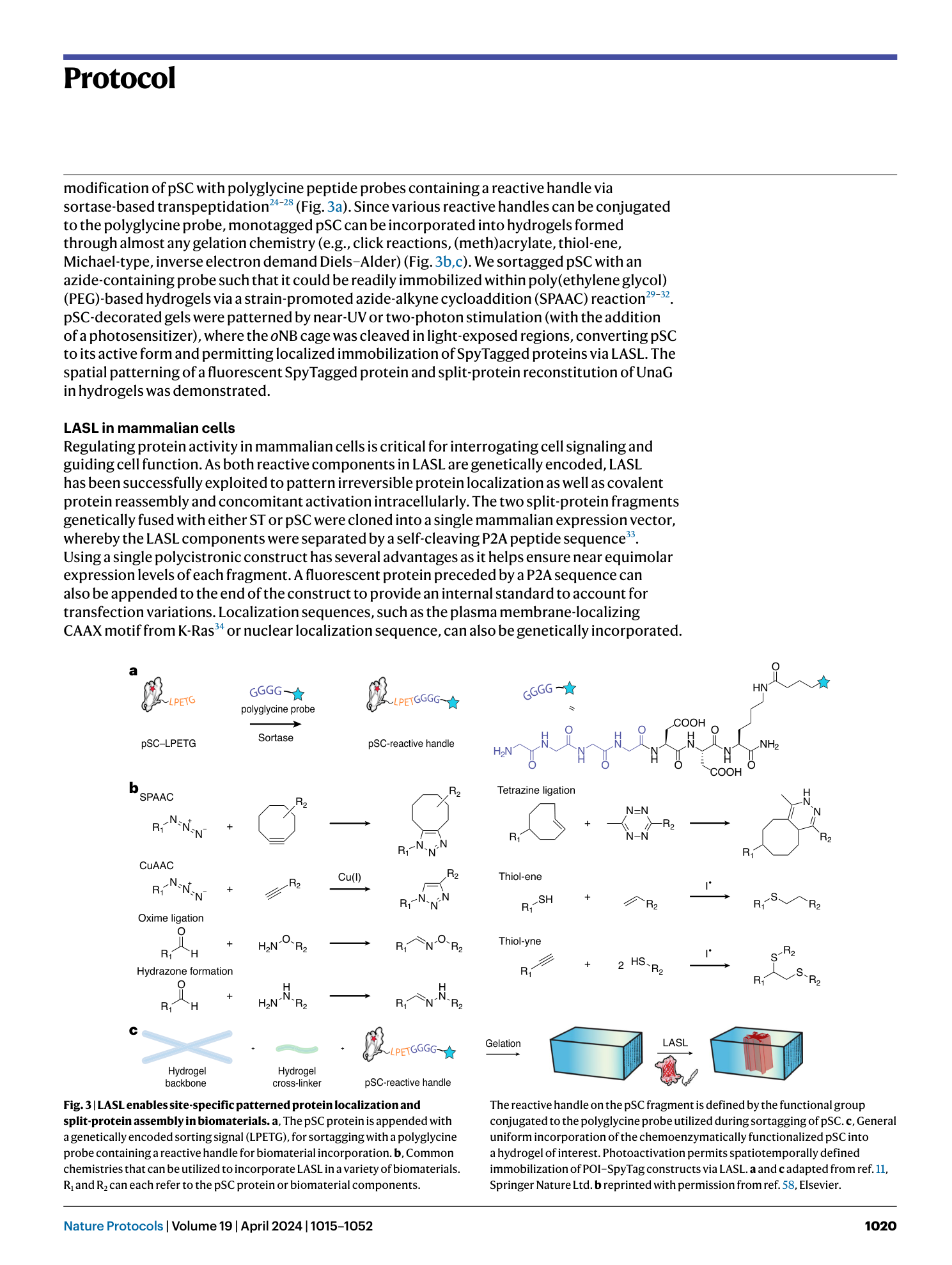 page-6