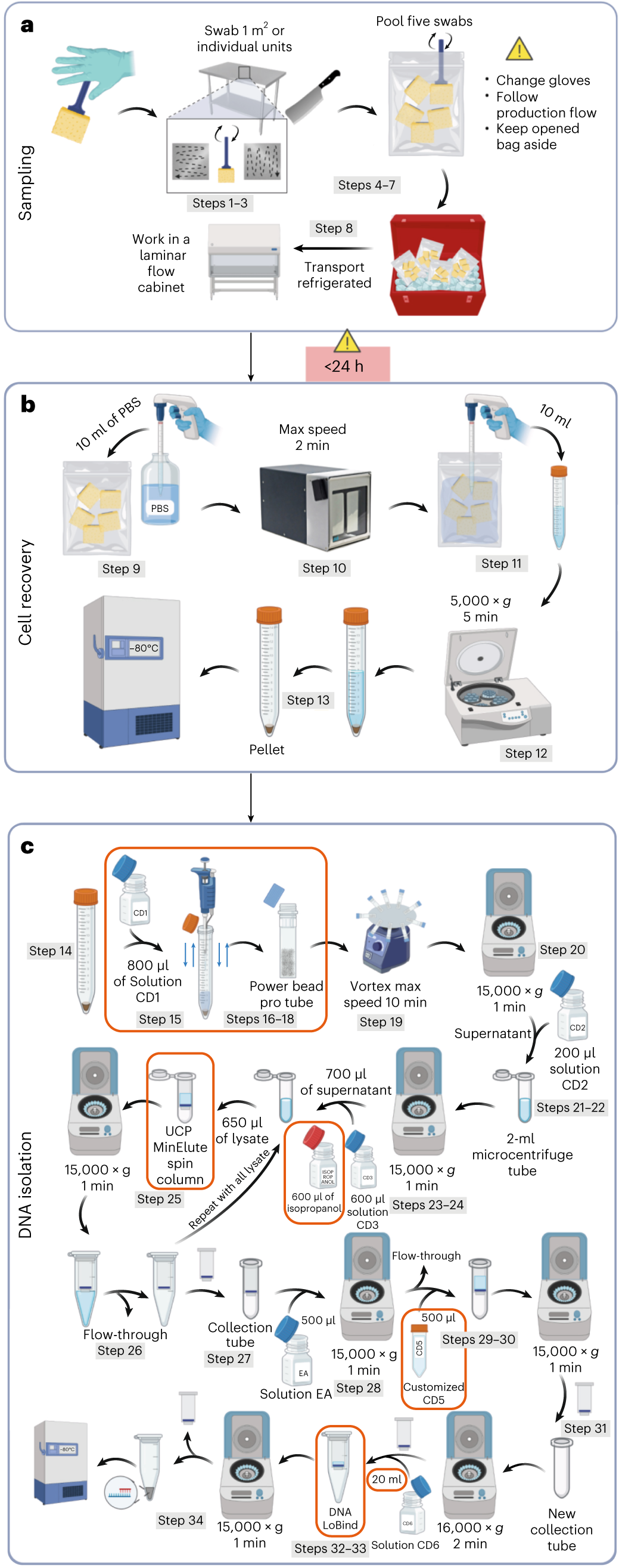 Fig. 2: Workflow for sampling, cell recovery and DNA purification.