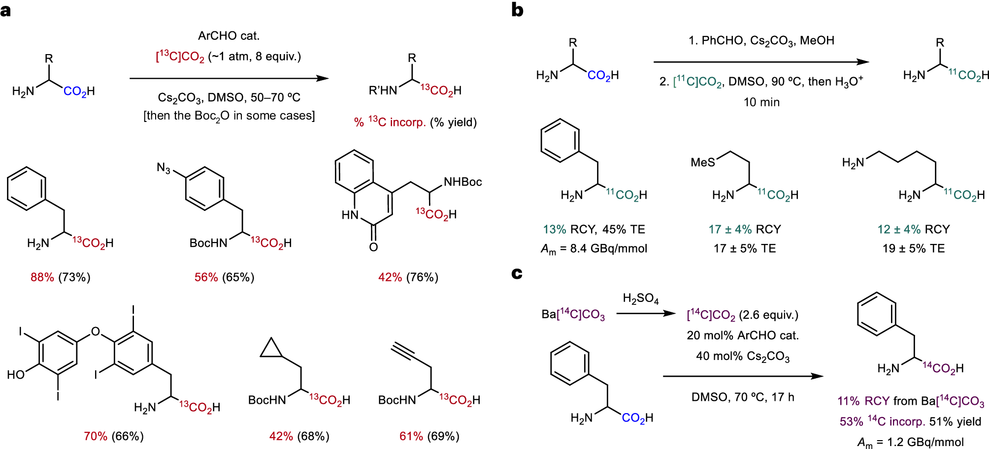 Fig. 2: Selected scope overview of the reaction using [*C]CO2.