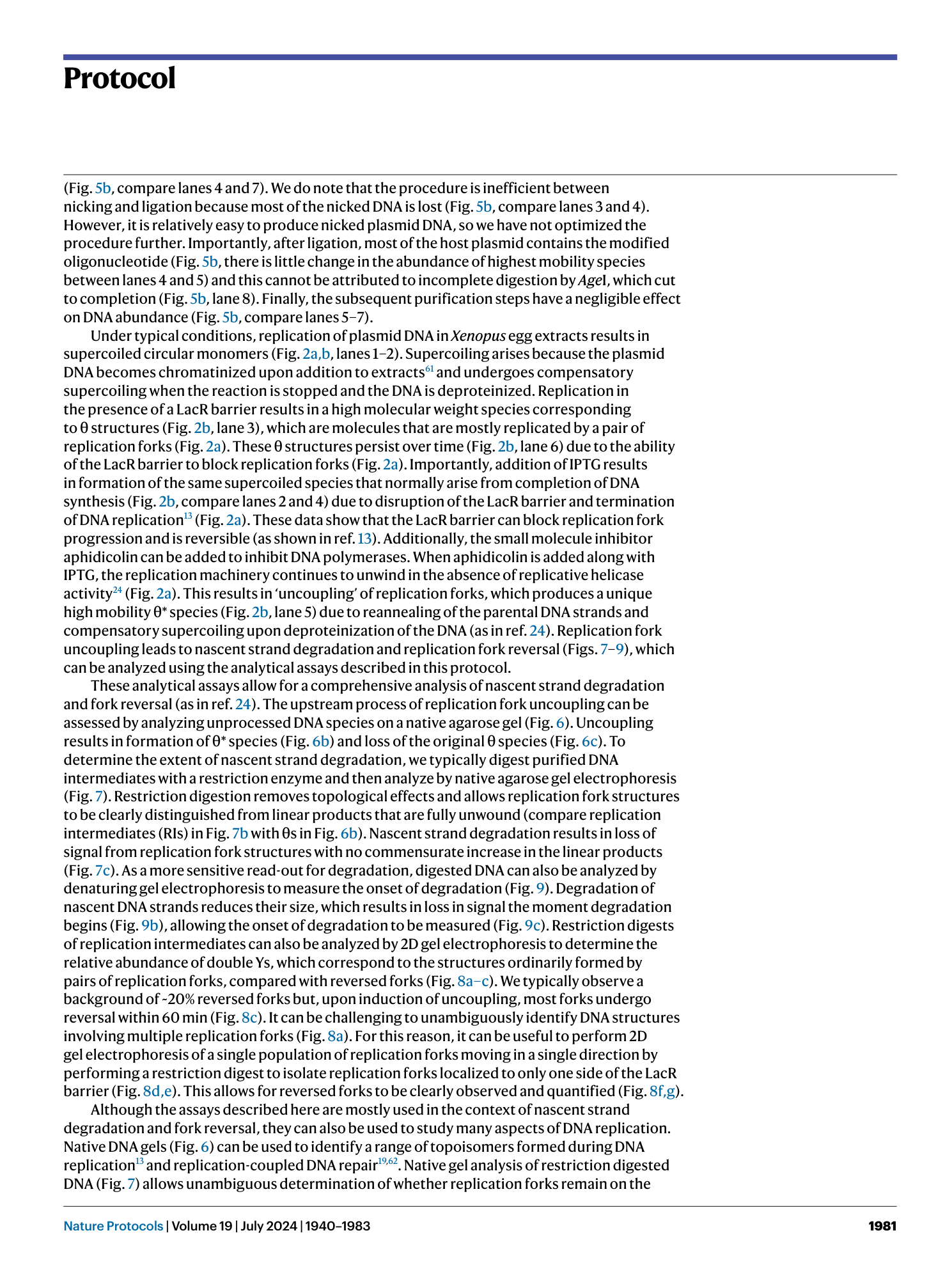 page-42