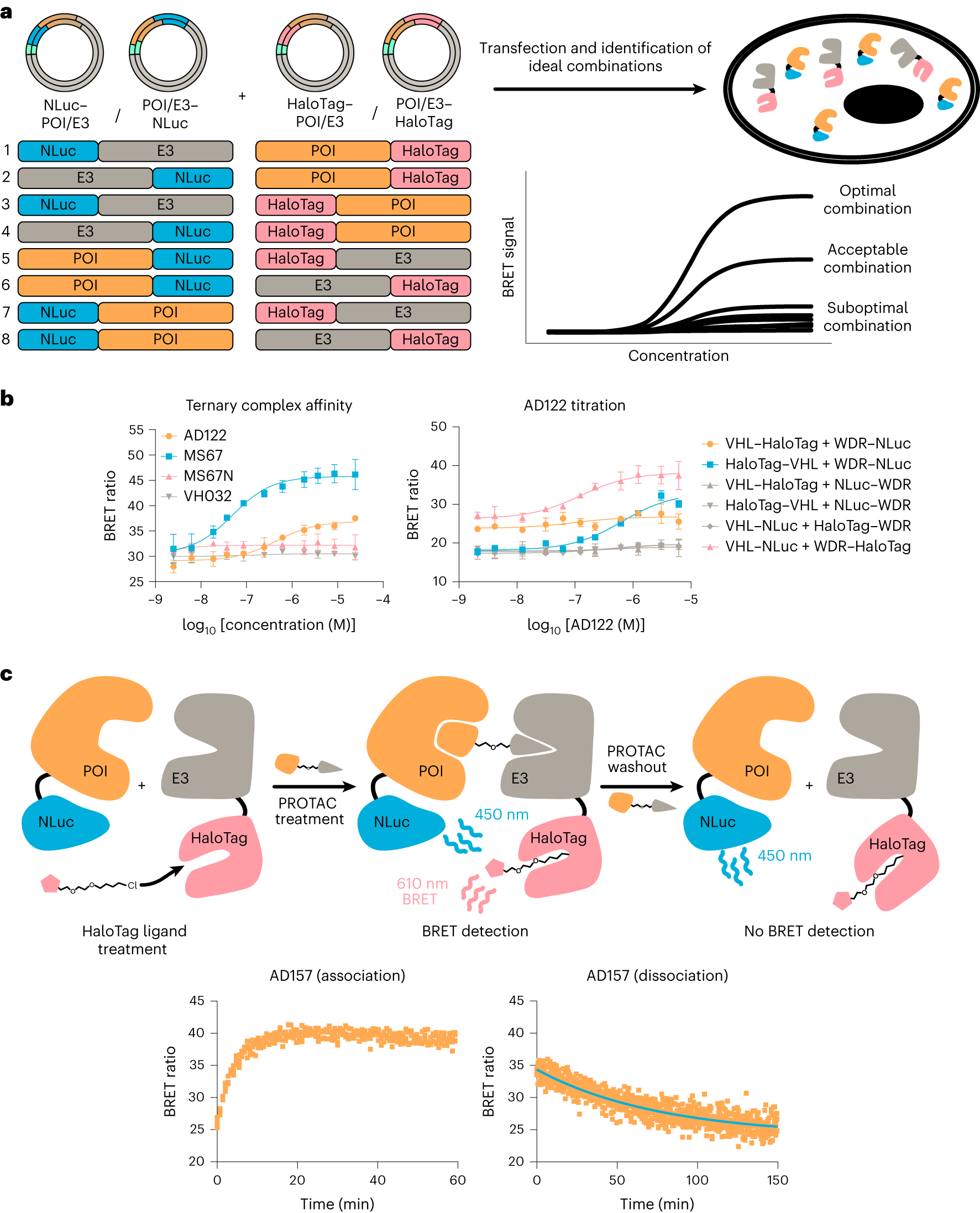Fig. 6: Schematic overview of the ternary complex assay setup and principle.