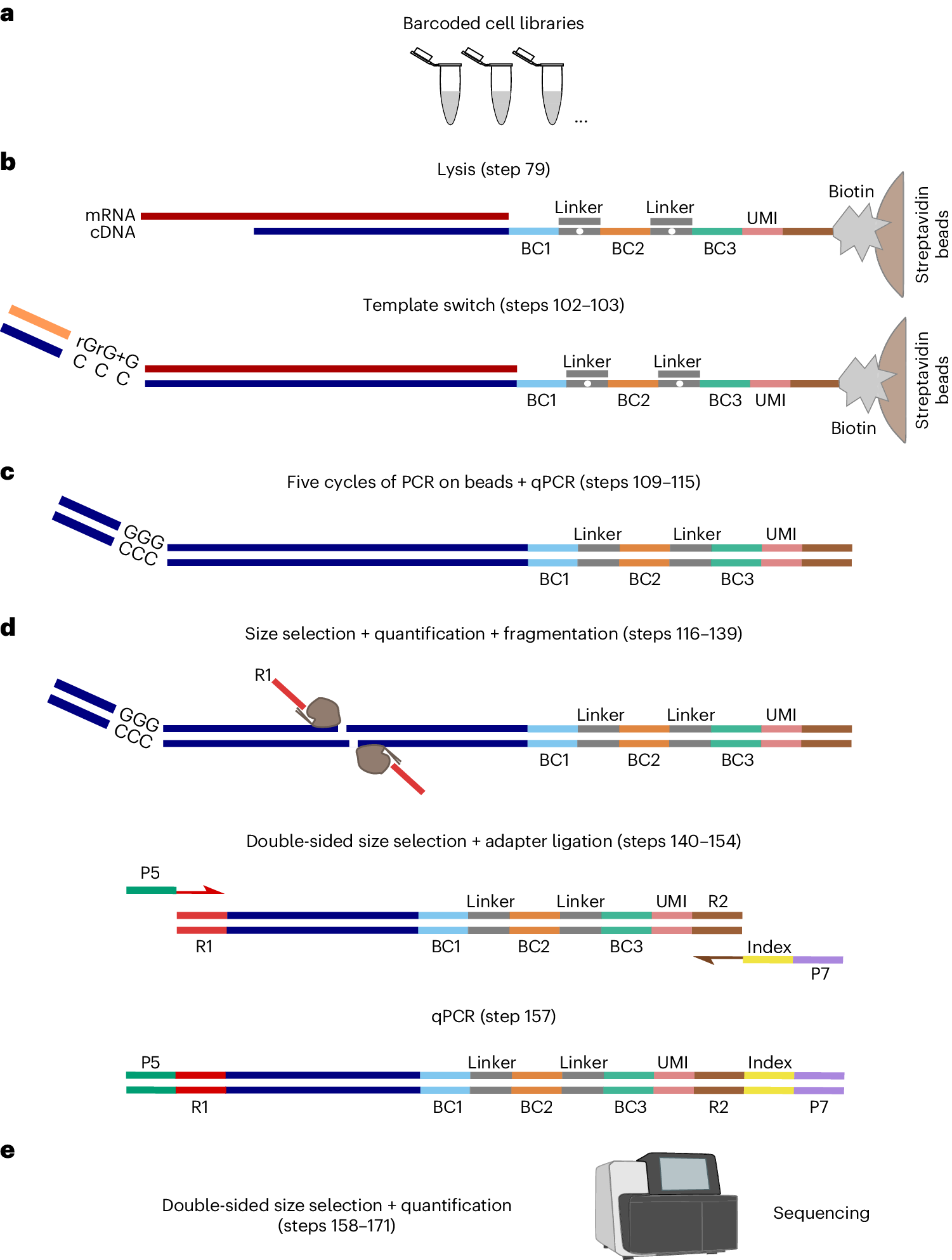 Fig. 2: MicroSPLiT sequencing library preparation.