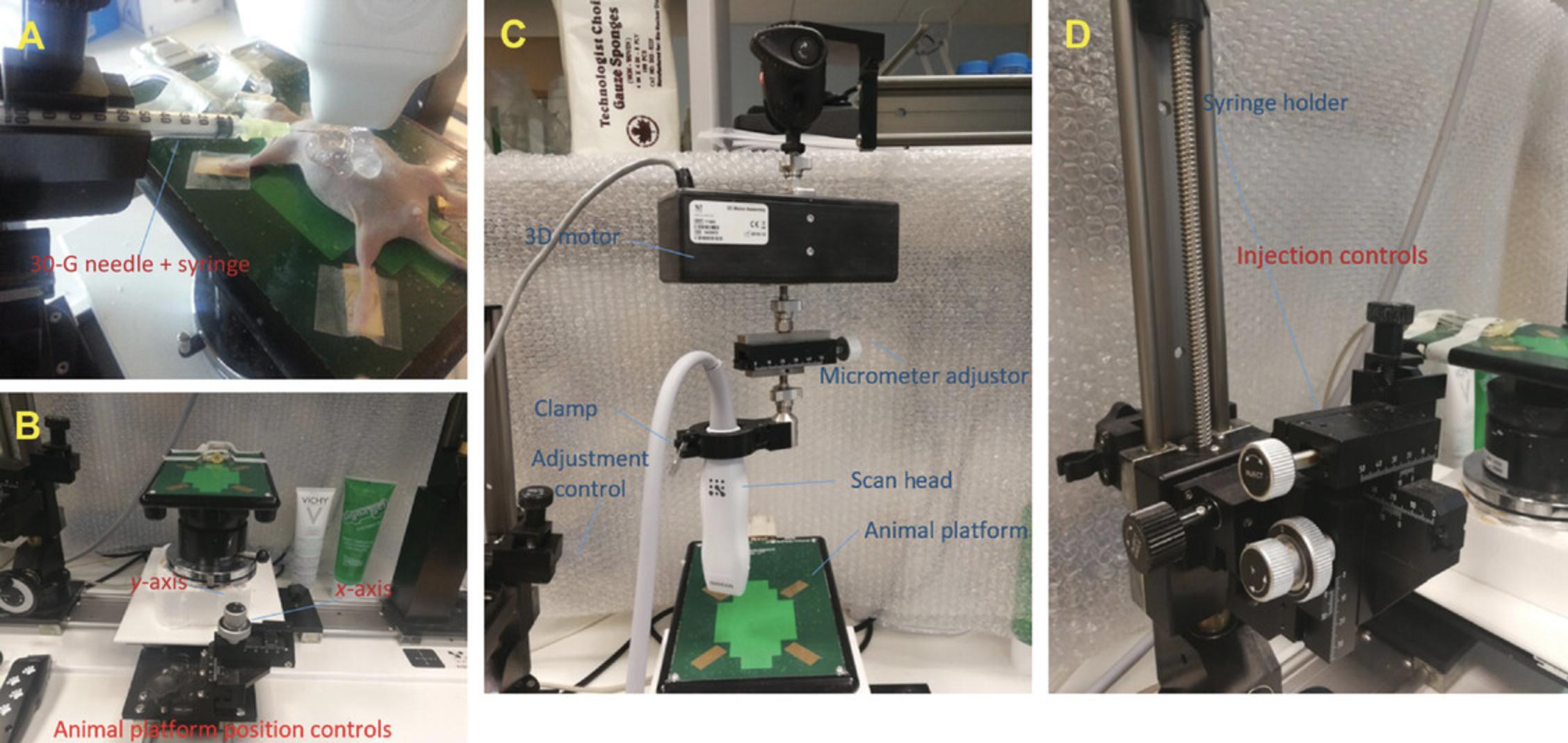 Details are in the caption following the image Ultrasound-guided injection setup and optimal positioning of mouse. (A) Mouse position and needle orientation. (B) Integrated rail system necessary for alignment of injection syringe and ultrasound scan head. (C) Animal platforms and ultrasound scan head controls. (D) Injection syringe controls.