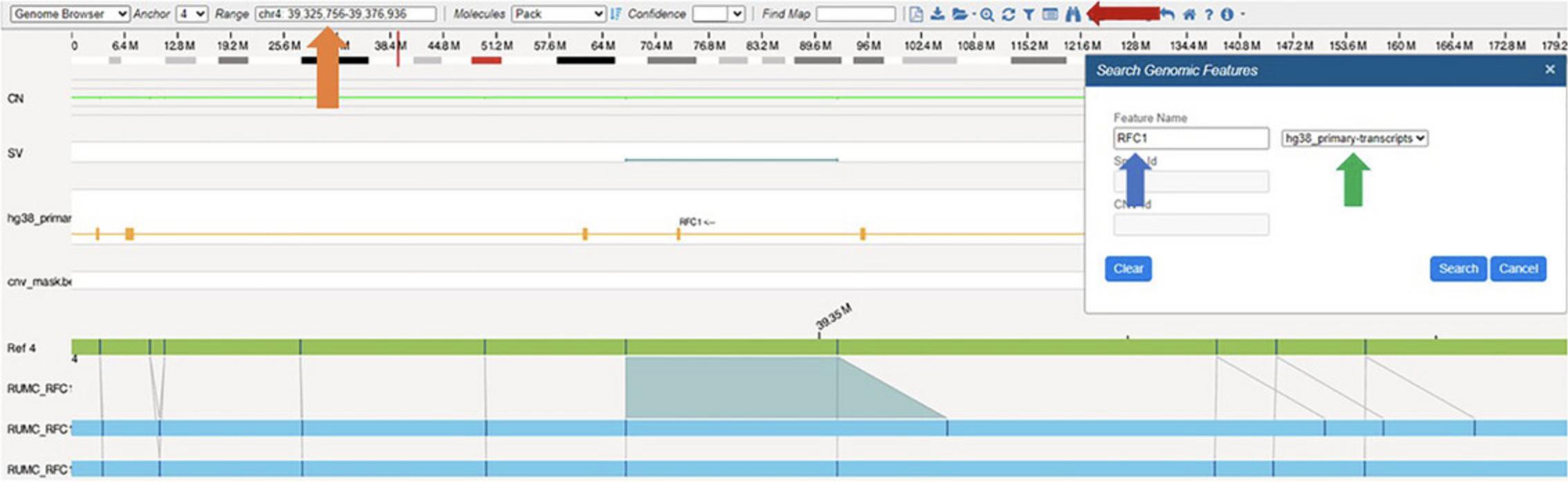 Details are in the caption following the image Genome Browser view in which a region of interest can be searched by genomic coordinates (orange) or gene name by clicking the binocular icon (red) and searching for the gene name (blue) within the selected .bed file (green).