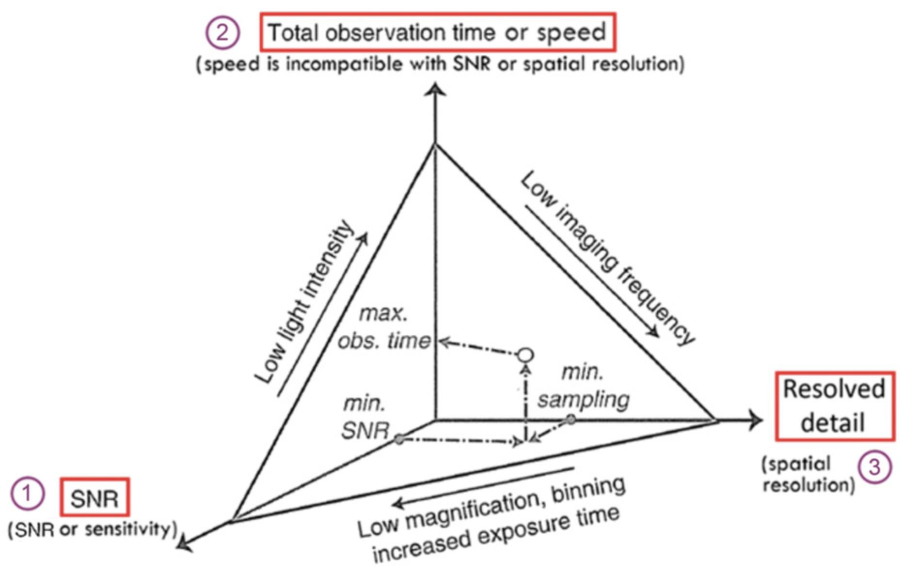 Details are in the caption following the image The “iron triangle” trade-off between resolution, speed, and signal-to-noise ratio (SNR). You can (1) collect a lot of photons but not very fast, not from a large volume, and not for very long (good SNR); (2) collect photons rapidly but not very many, not with a small pixel size, and not in more than one color (good speed); or (3) collect photons from a small area with a small pixel size but not very many and not fast or for very long (good resolution of detail). Any of the three factors can be enhanced at the expense of the other two.