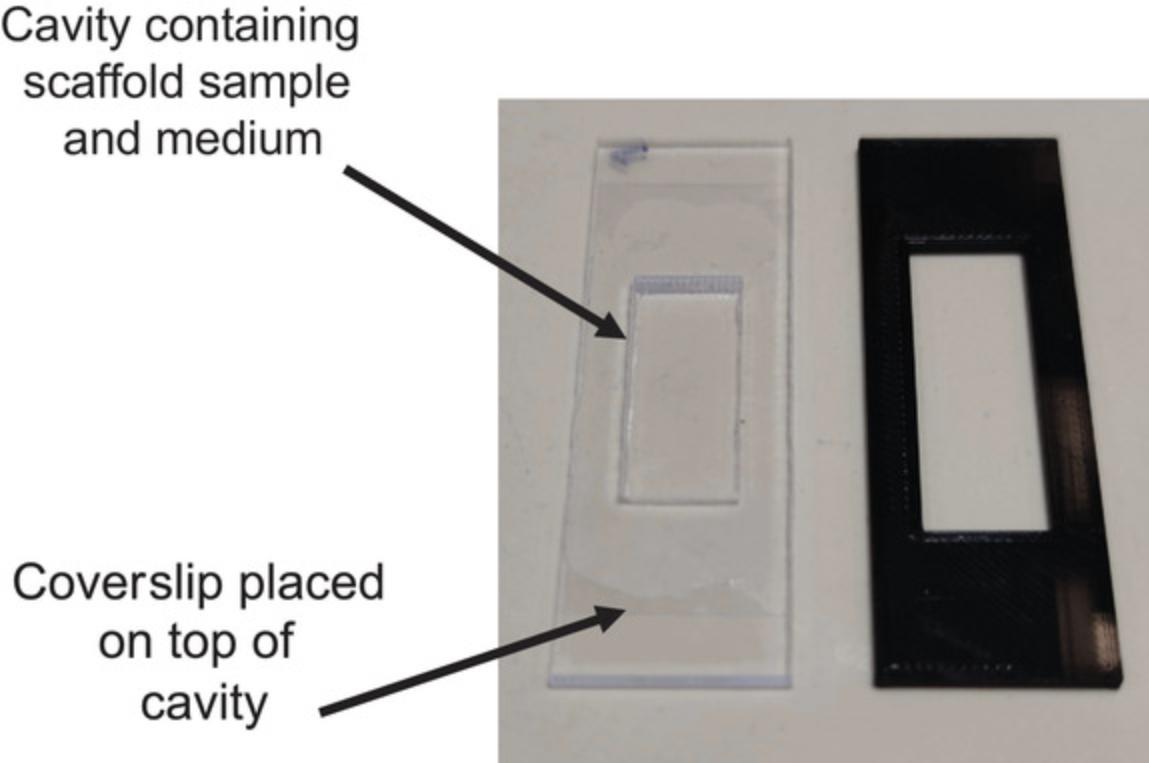 Details are in the caption following the image Custom chamber for real-time 3D confocal imaging. Left: Chamber cut from polypropylene sheet. One coverslip forms the bottom of the chamber and a second is placed on top over the sample. Right: PLA 3D-printed chamber.
