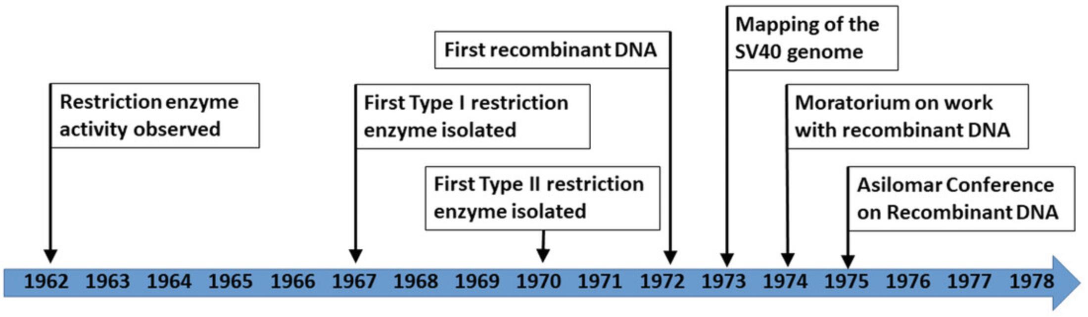 Details are in the caption following the image Timeline of the major events starting the molecular biology revolution. The development of molecular cloning was based on the description of restriction enzymes. Their activity was first observed in 1962; they were first isolated between 1967 and 1970, and between 1972 and 1974, they were used to map a viral genome and produce the first recombinant DNA. This resulted in the moratorium on work with recombinant DNA to assess the risks in 1974, and the 1975 Asilomar Conference, where guidelines for the work were put in place.
