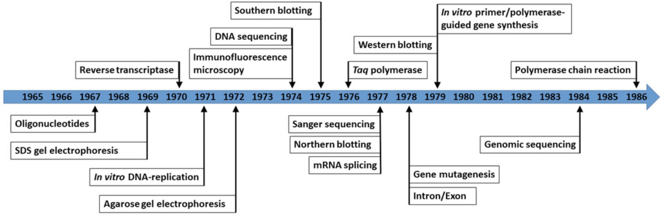 Details are in the caption following the image Timeline of the major molecular biology innovations developed from the late 1960s to the mid-1980s. Following the development of molecular cloning, new techniques were developed at a rapid pace. Several indispensable techniques were developed between 1967 and 1986, including PCR, DNA sequencing, gel electrophoresis, blotting, and immunofluorescence microscopy.
