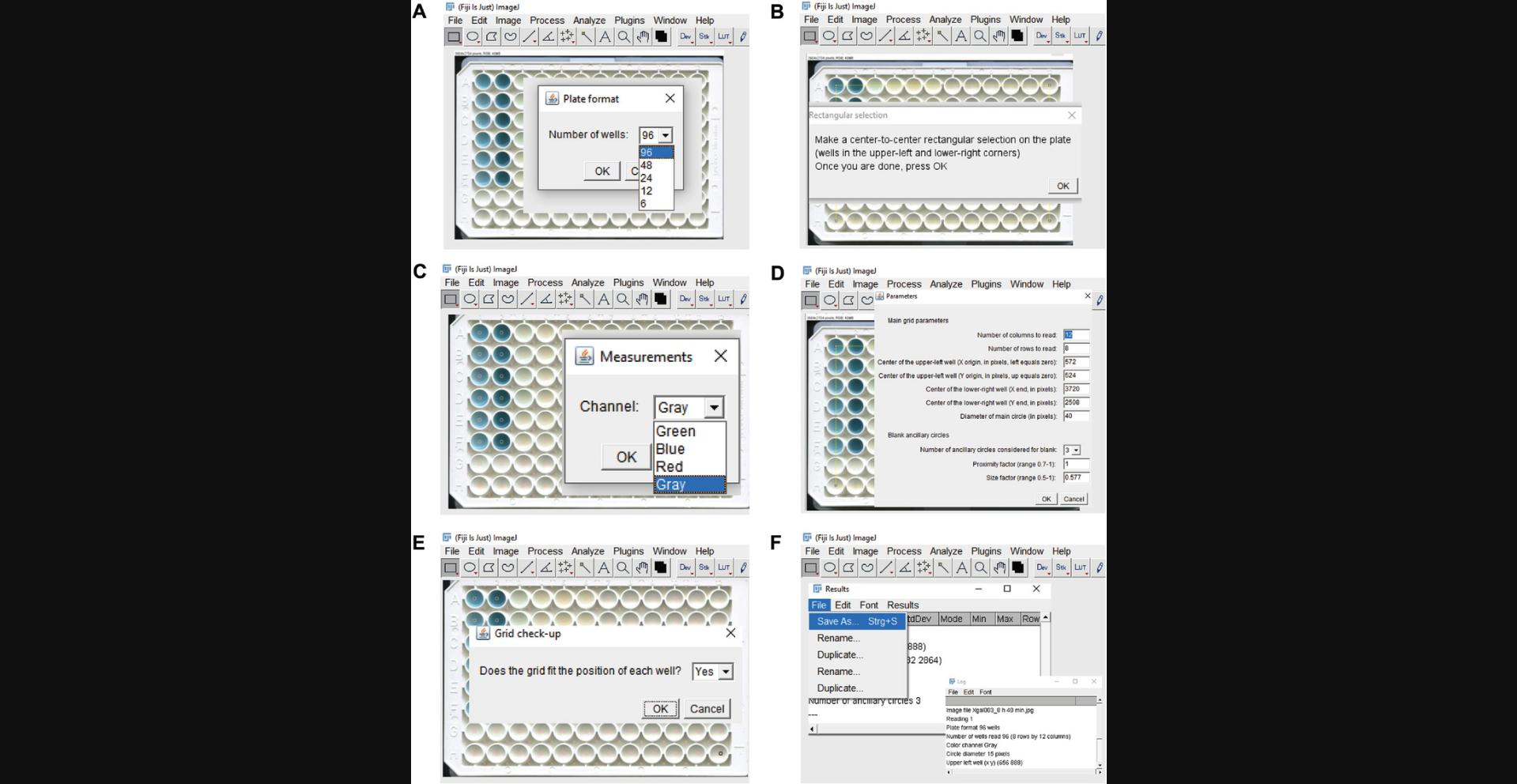 Details are in the caption following the image Steps showing the analysis of the scan/photograph. (A) Choose the correct plate format depending on the number of wells (here, 96) (B) Make a rectangular selection. (C) Select the correct color channel (gray). (D) Set the parameters. (E) Check if the grid fits the position of the wells and confirm. (F) Save the results by adding an appropriate name to the output file.