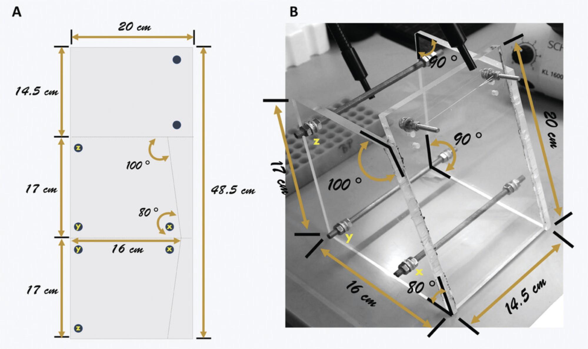 Details are in the caption following the image Construction of the intubation platform. (A) The layout of the 970-cm<sup>2</sup> Plexiglas with divisions designated by broken lines to be used as guide for cutting. Dimensions of the pieces and location of where to bore holes are indicated. The assembled intubation platform is presented in (B). The holes in the side pieces are identically lettered in A to show connections in B.