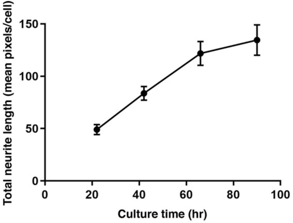 Details are in the caption following the image Time-course of neurite outgrowth for cortical neurons in 1536-well plates. GFP-labeled cortical neurons were imaged at 22, 42, 66, and 90 hr continuously. Total neurite length (in pixels) was used to evaluate neurite outgrowth. Values represent mean ± SD of 668 assay wells.