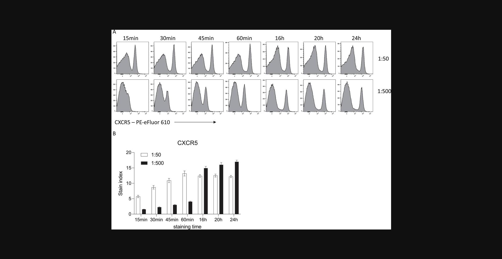 Details are in the caption following the image Influence of time and antibody concentration on mouse CXCR5 staining. (A) Representative histograms of CXCR5 staining on viable C57BL/6 mouse splenocytes after the indicated incubation times. (B) Stain index (n = 5, mean ± SD).