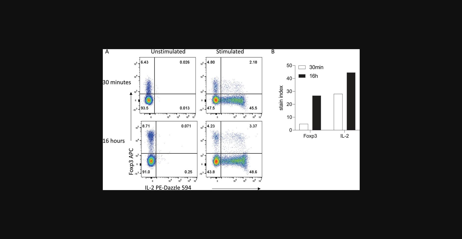 Details are in the caption following the image Intracellular and intranuclear staining can be improved with extended incubation times. (A) Representative staining obtained in 30 min versus 16 hr. (B) Stain indices for Foxp3 and IL-2. Mouse splenocytes were stimulated and stained for intracellular cytokines as described in the Methods section. Data were acquired on a Cytek Aurora Spectral Cytometer.