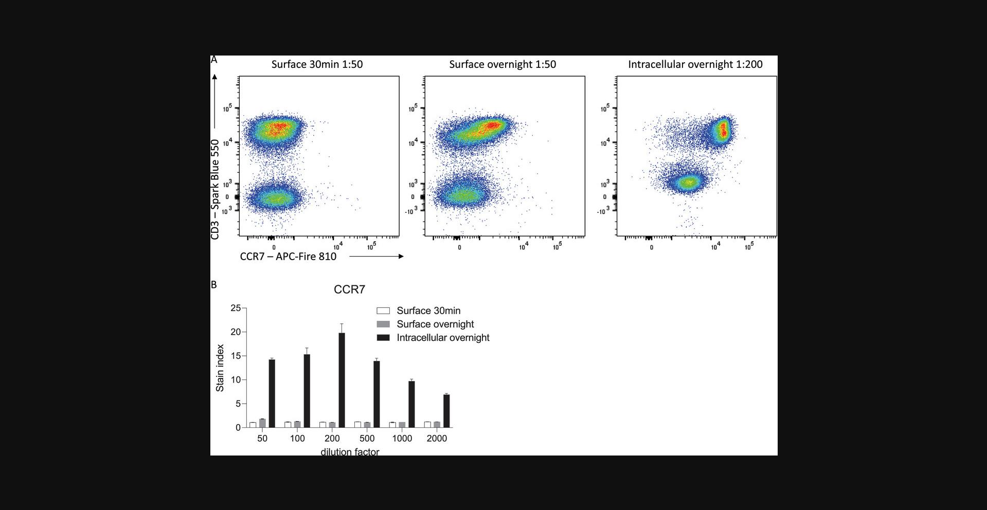 Details are in the caption following the image Improved detection of CCR7 with overnight intracellular staining. (A) Representative histograms of CCR7 staining on viable C57BL/6 mouse splenocytes after the indicated incubation times. (B) Stain index of CCR7 on CD3<sup>+</sup> T cells (n = 3, mean ± SD).